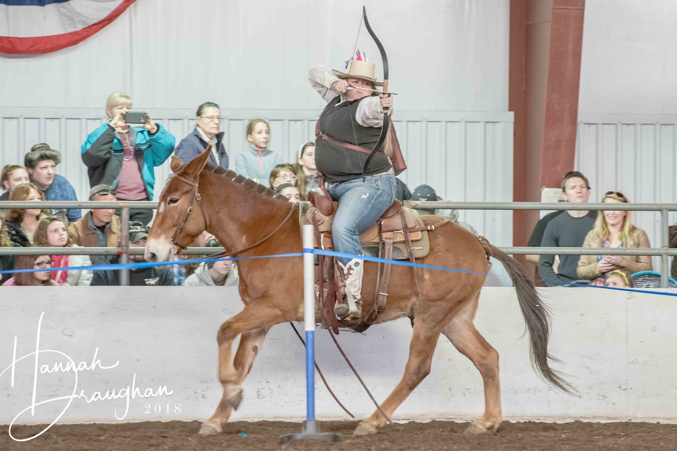 Mounted Archery lessons available!  Put a little yeehaw into your life!