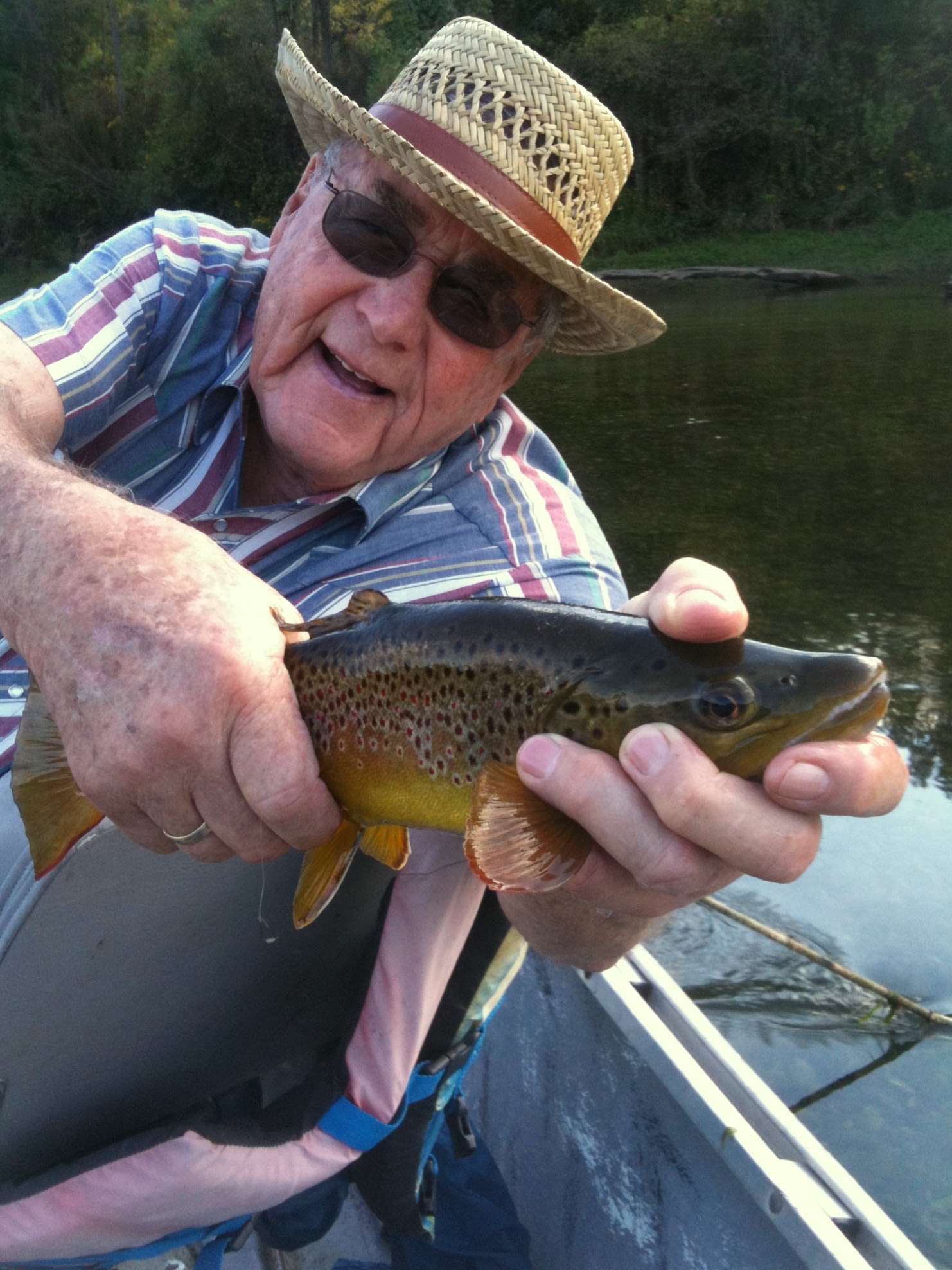 Natures Kisses Creature Comfort