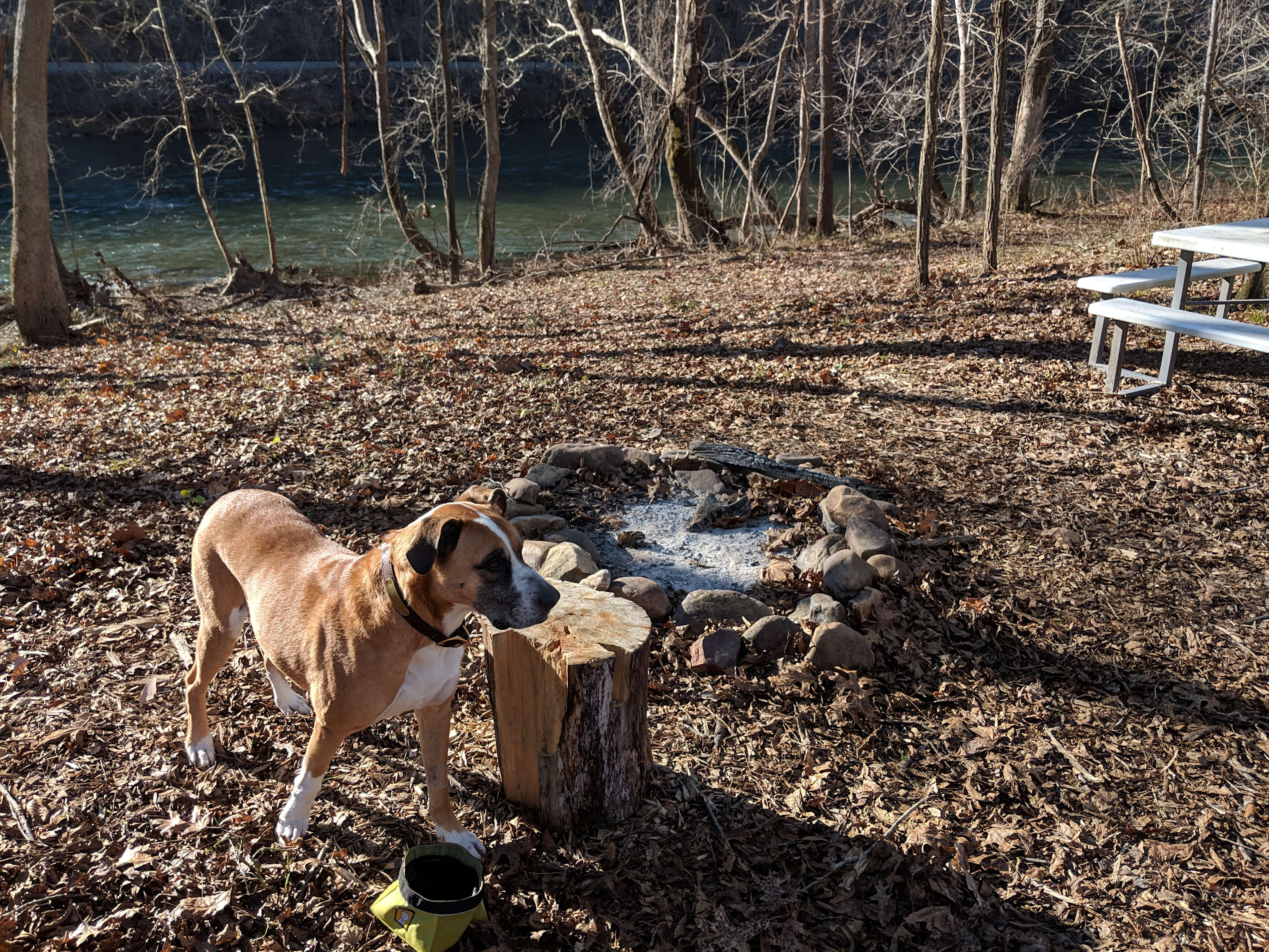 River in the background. Pup loved it.