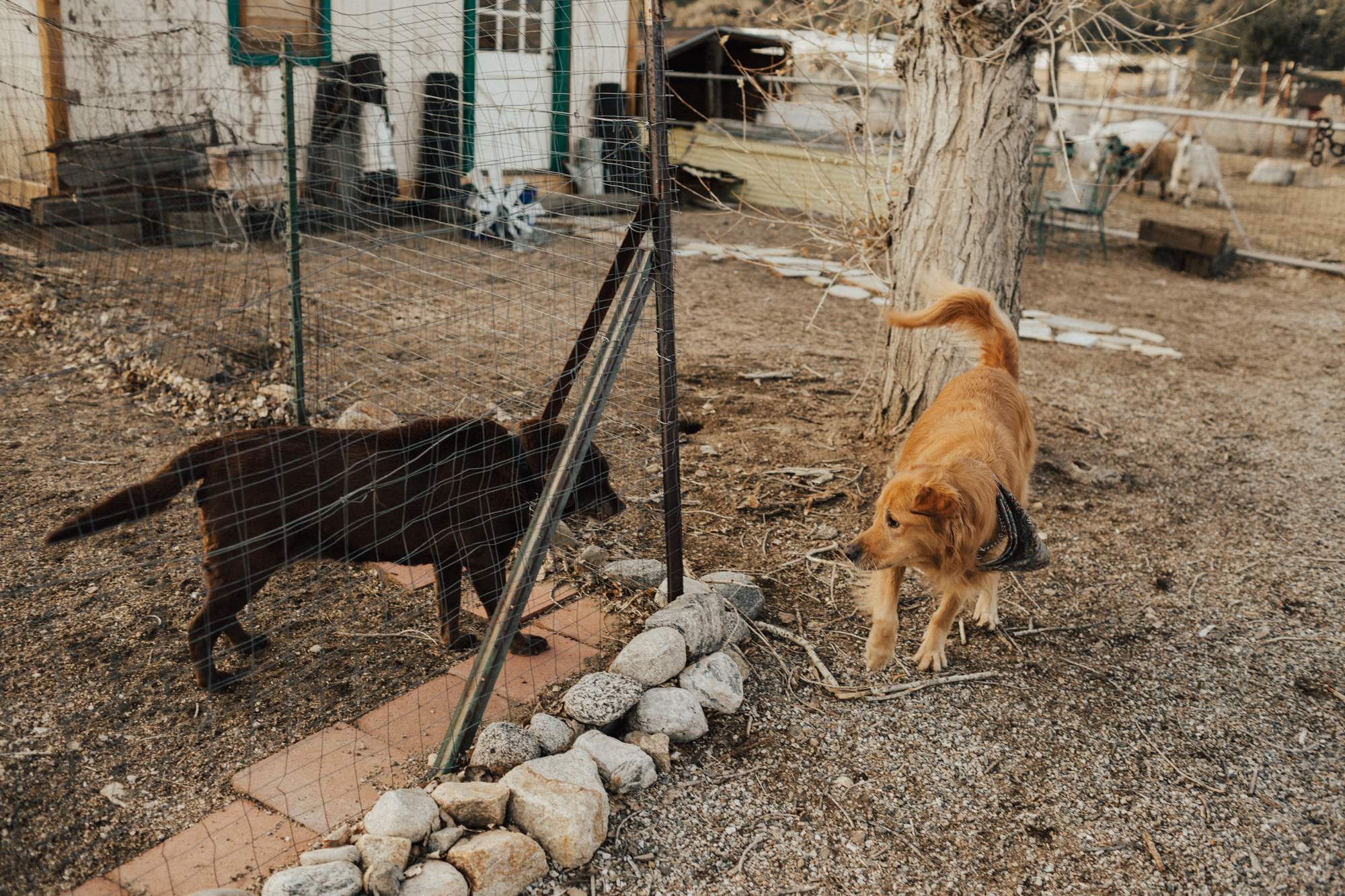 Peaceful Mountain Cabin