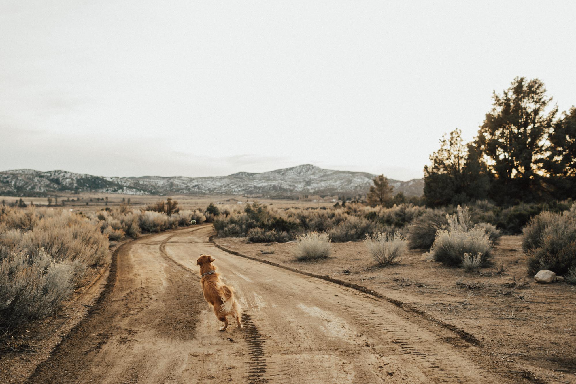 Peaceful Mountain Cabin