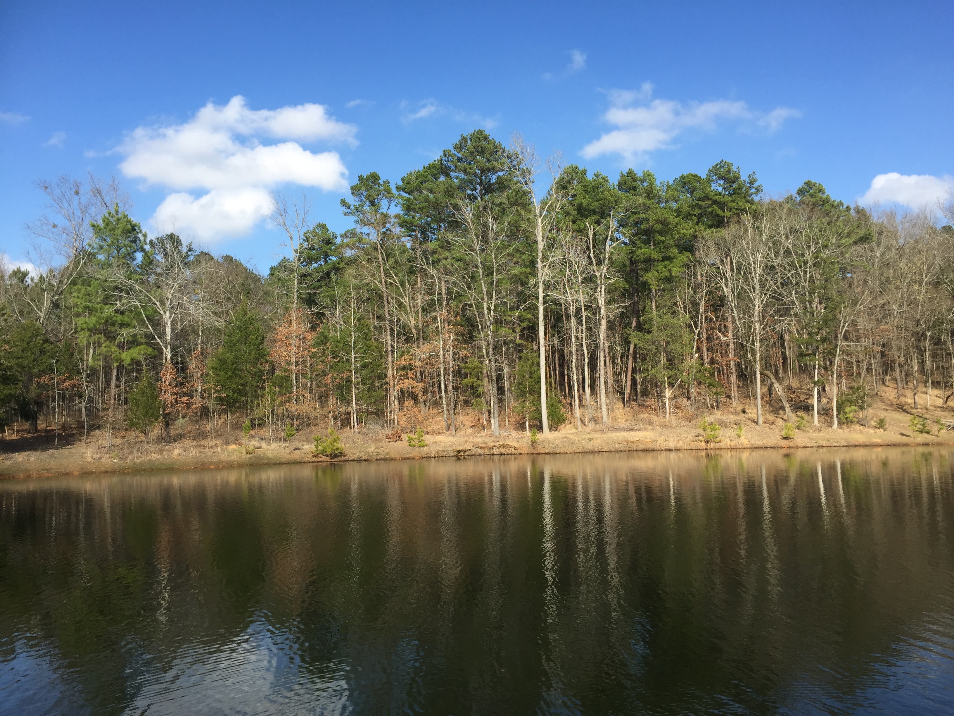 Another view of our pond.