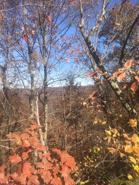 Beaver Lakes Campground LLC.