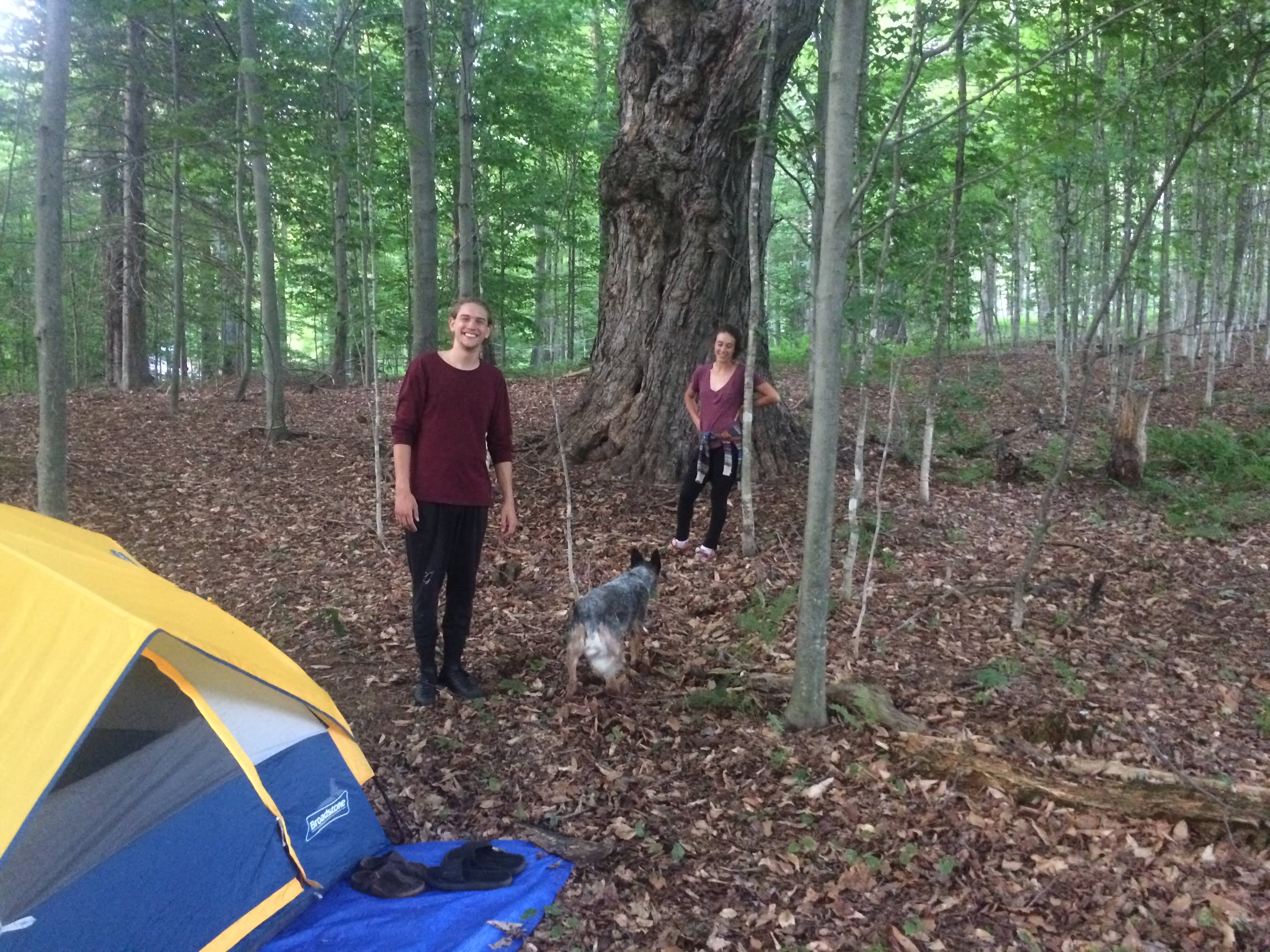 Sandiwood Farm Stay Experiences