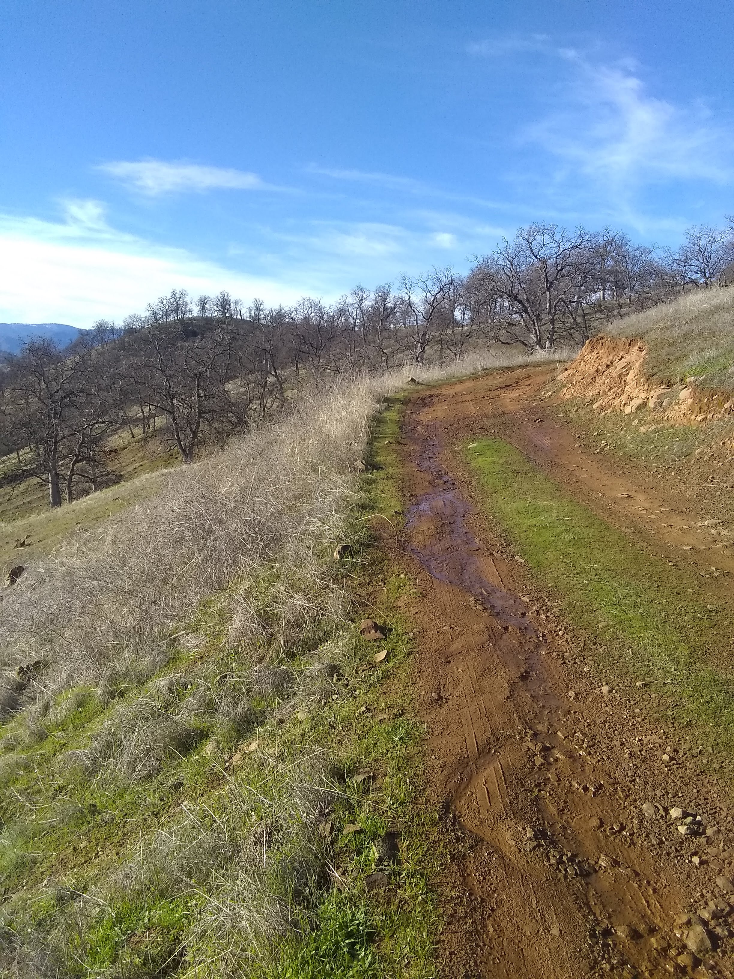 Road going to the ridge.