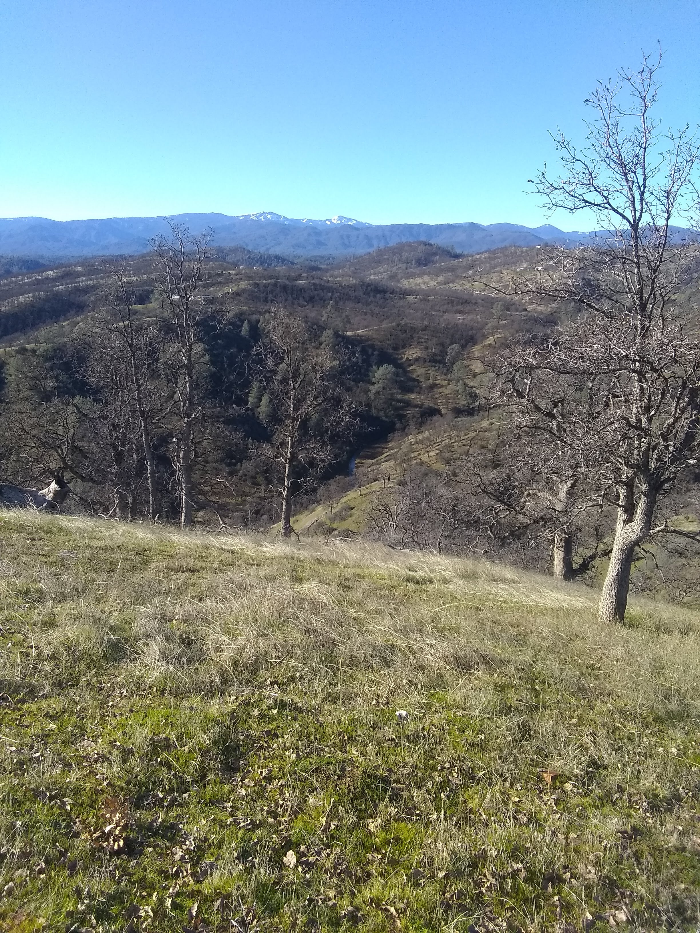 View of the seasonal creek at the bottom of base camp.