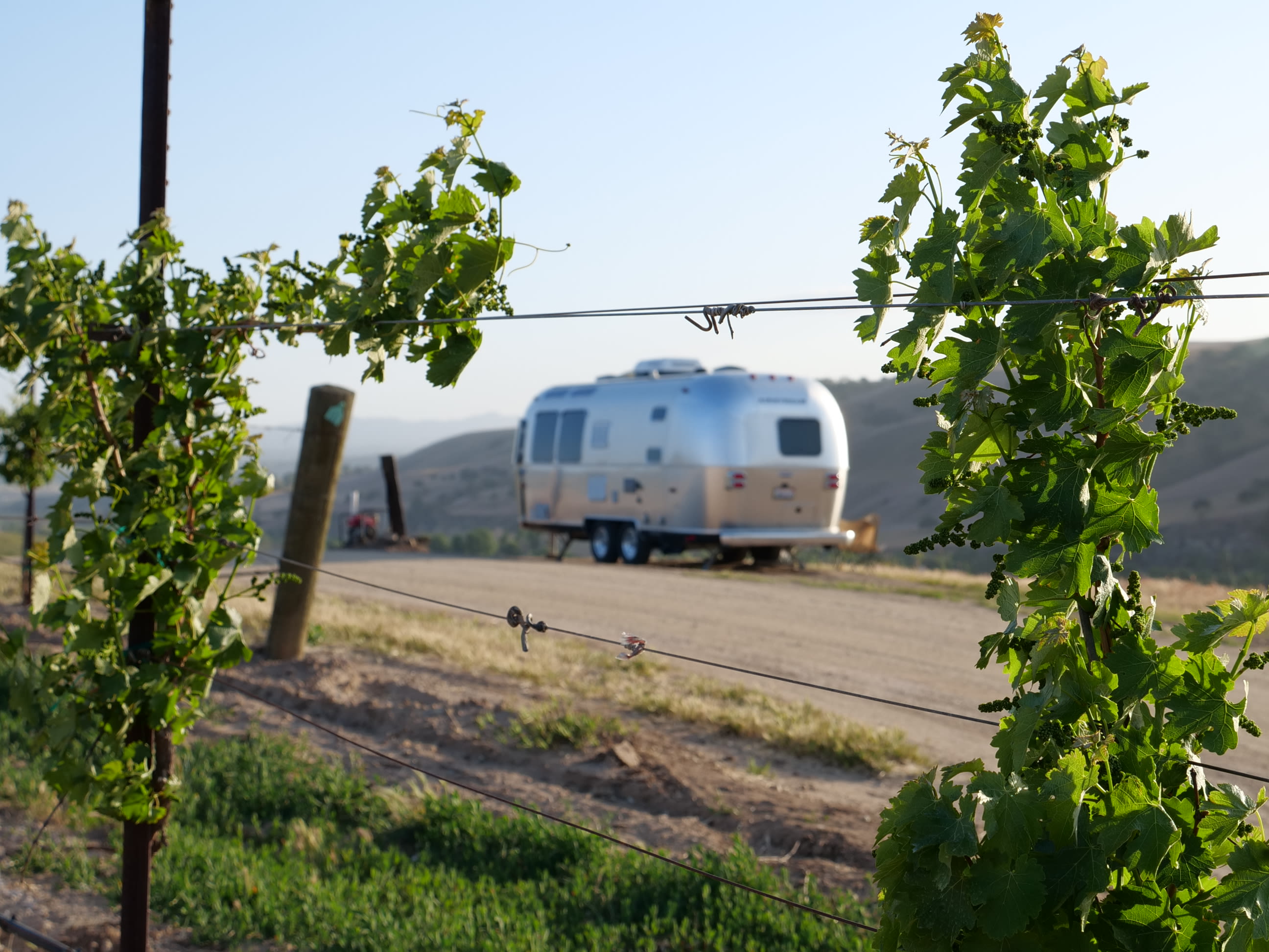 Pianetta Ranch & Winery