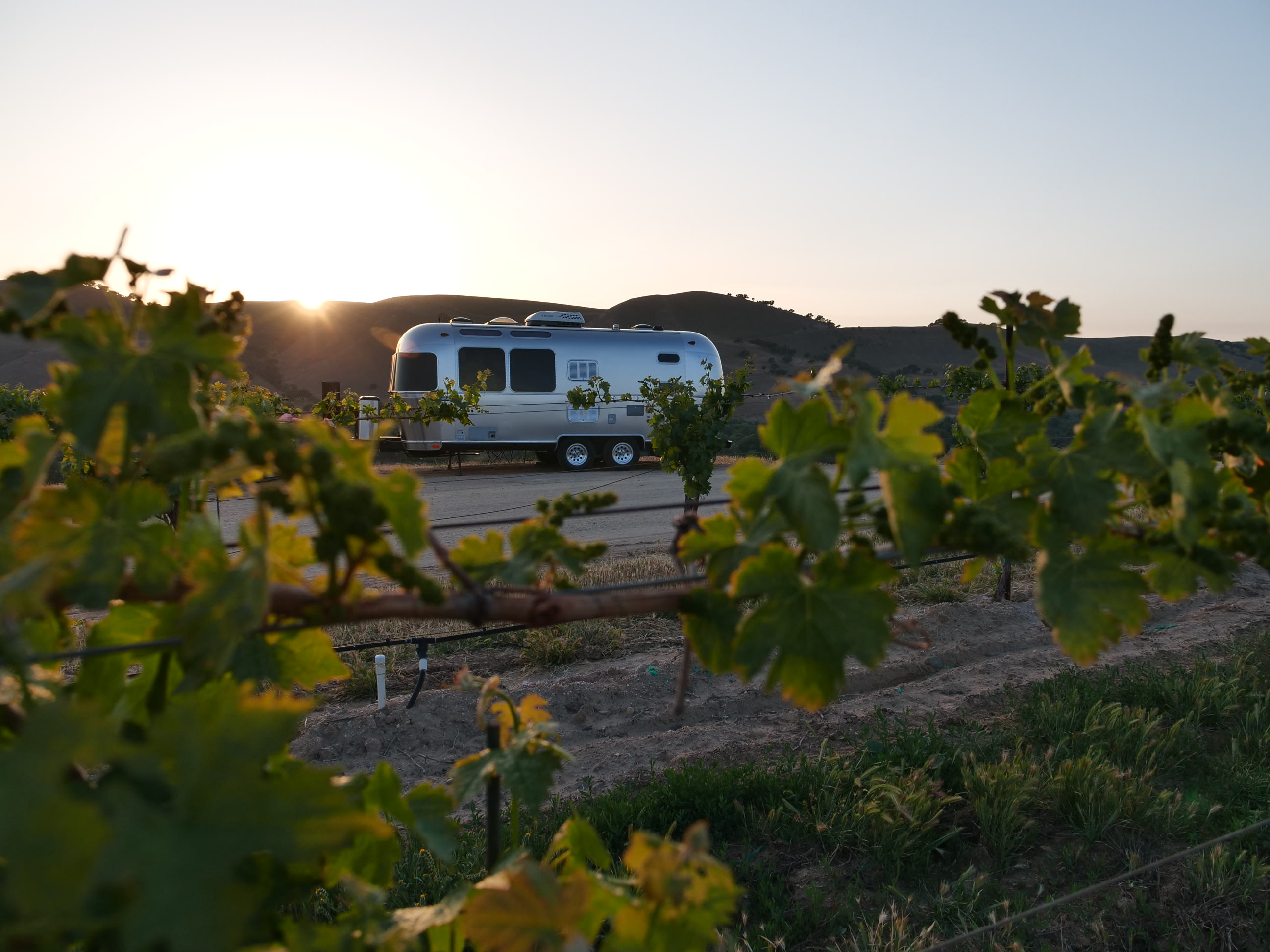 Pianetta Ranch & Winery