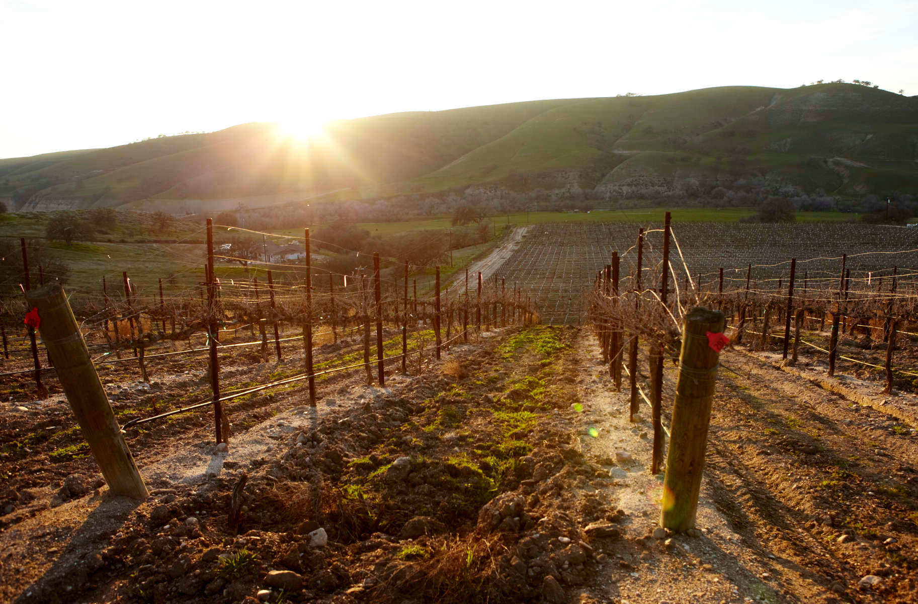 Pianetta Ranch & Winery