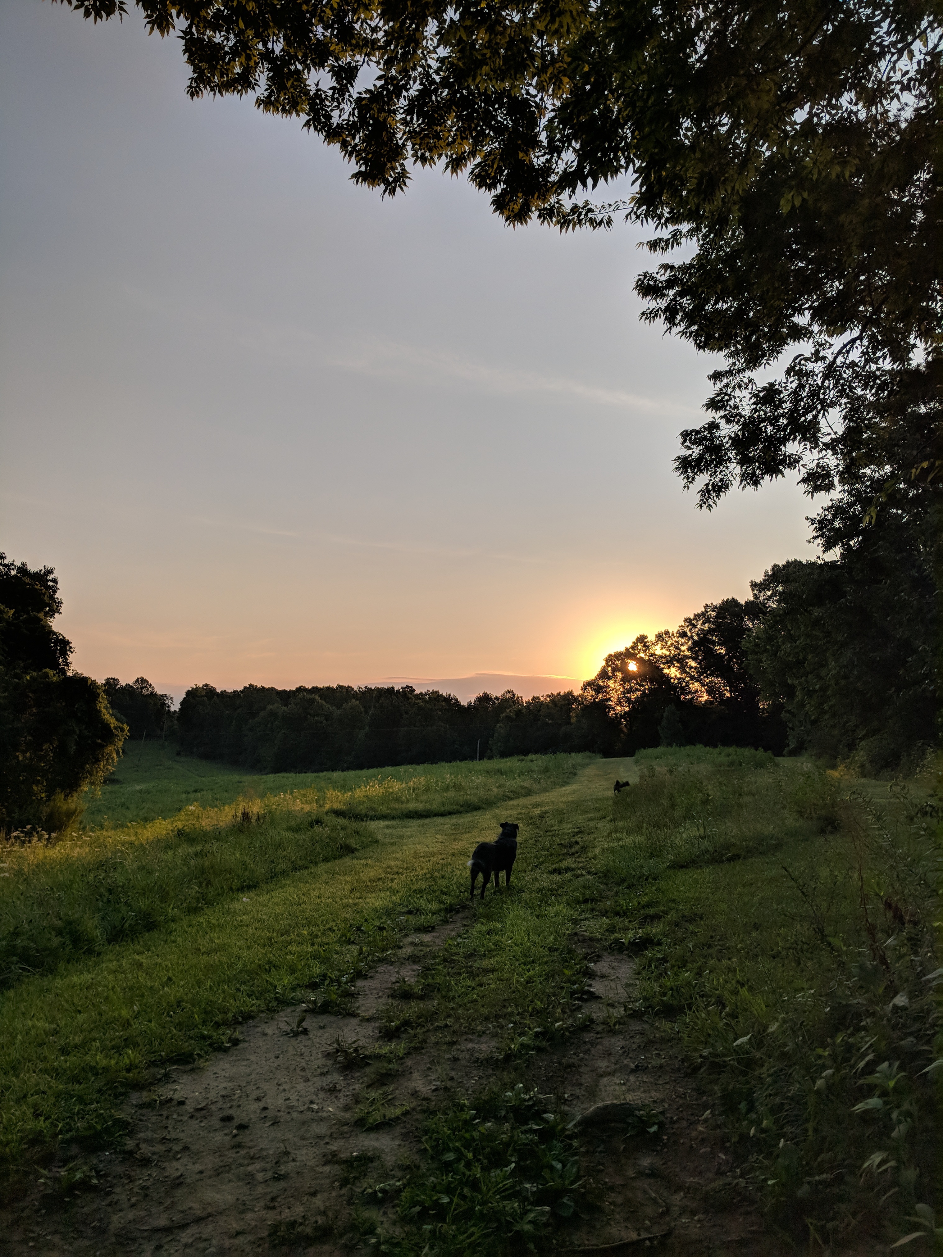 Sunrise over the camping area.