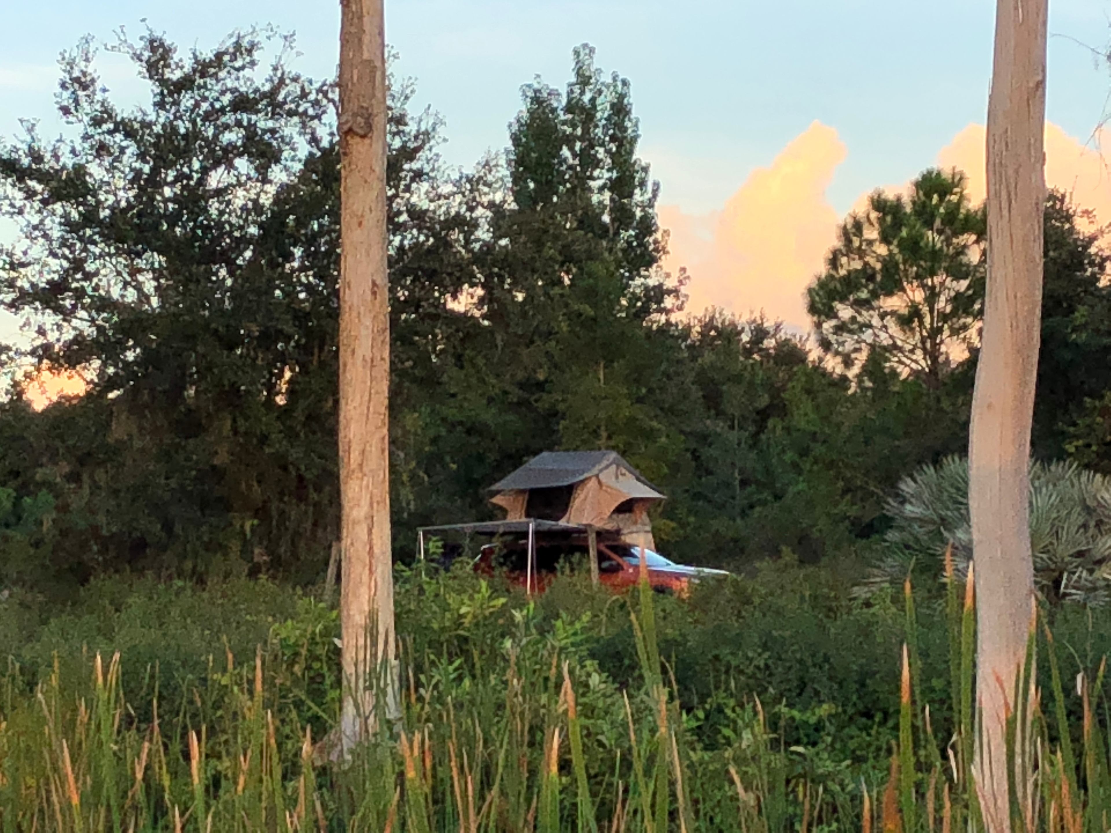 Lake Louisa State Park