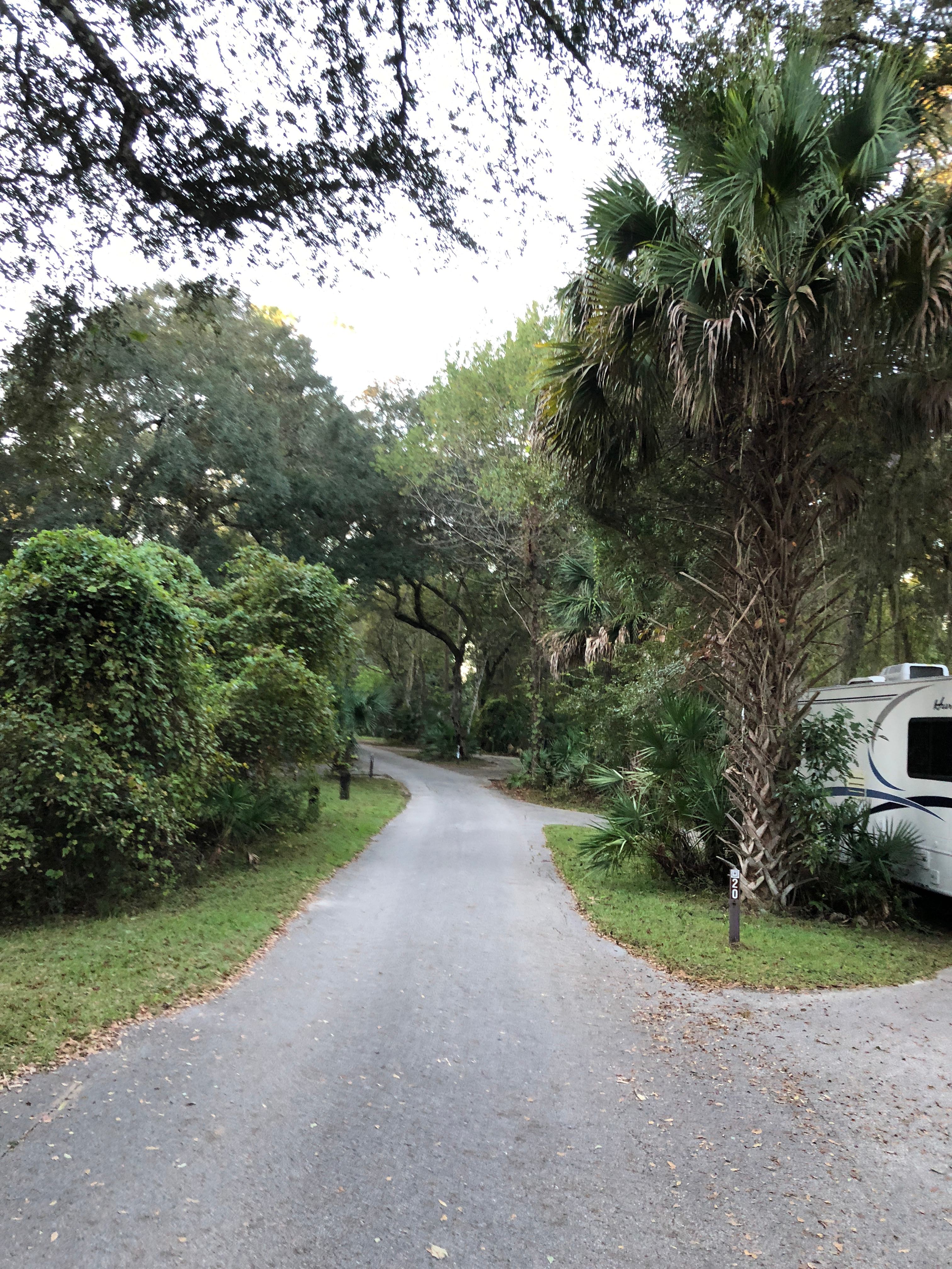 Juniper Springs Recreation Area and Campground