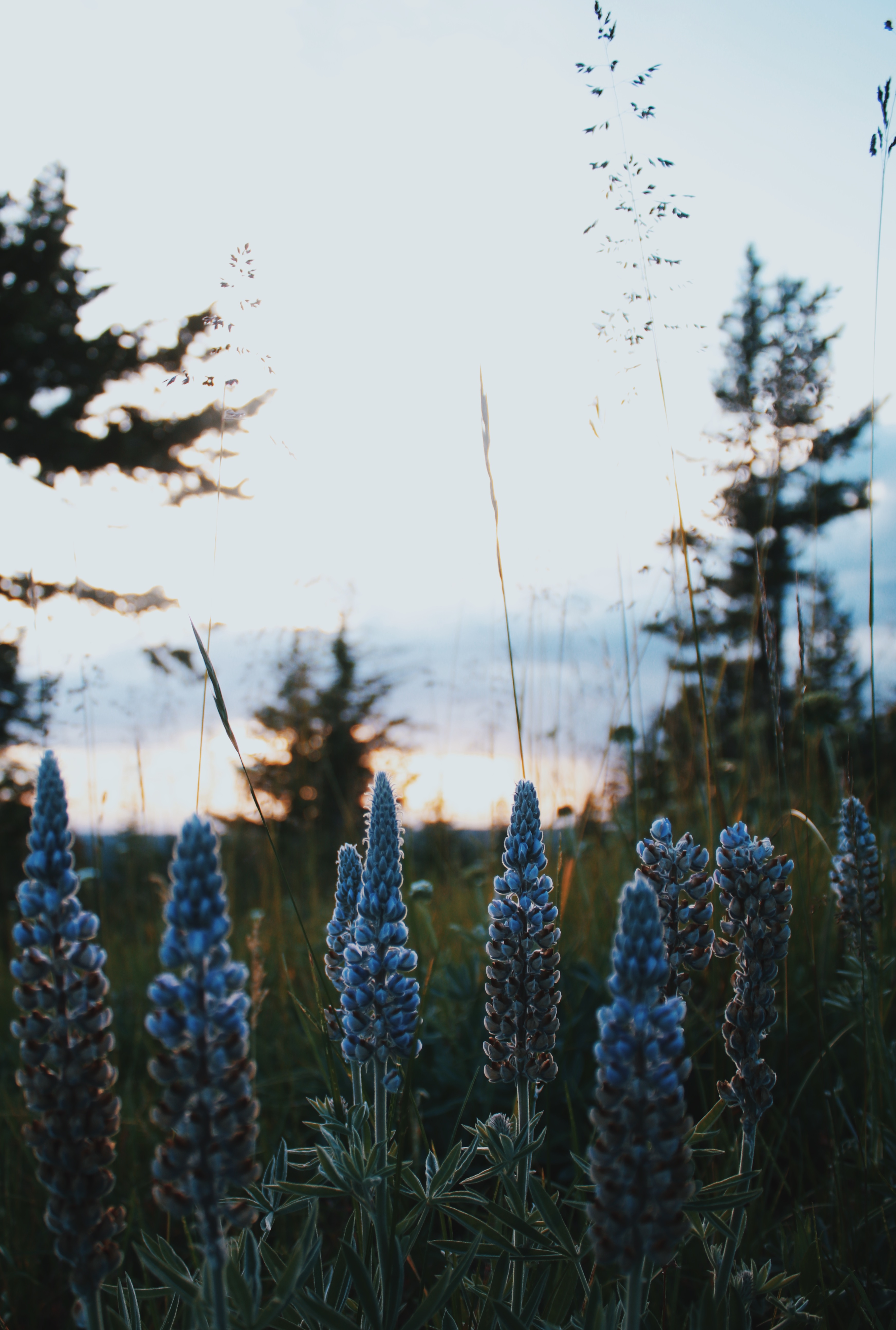 Wallowa Lake State Park