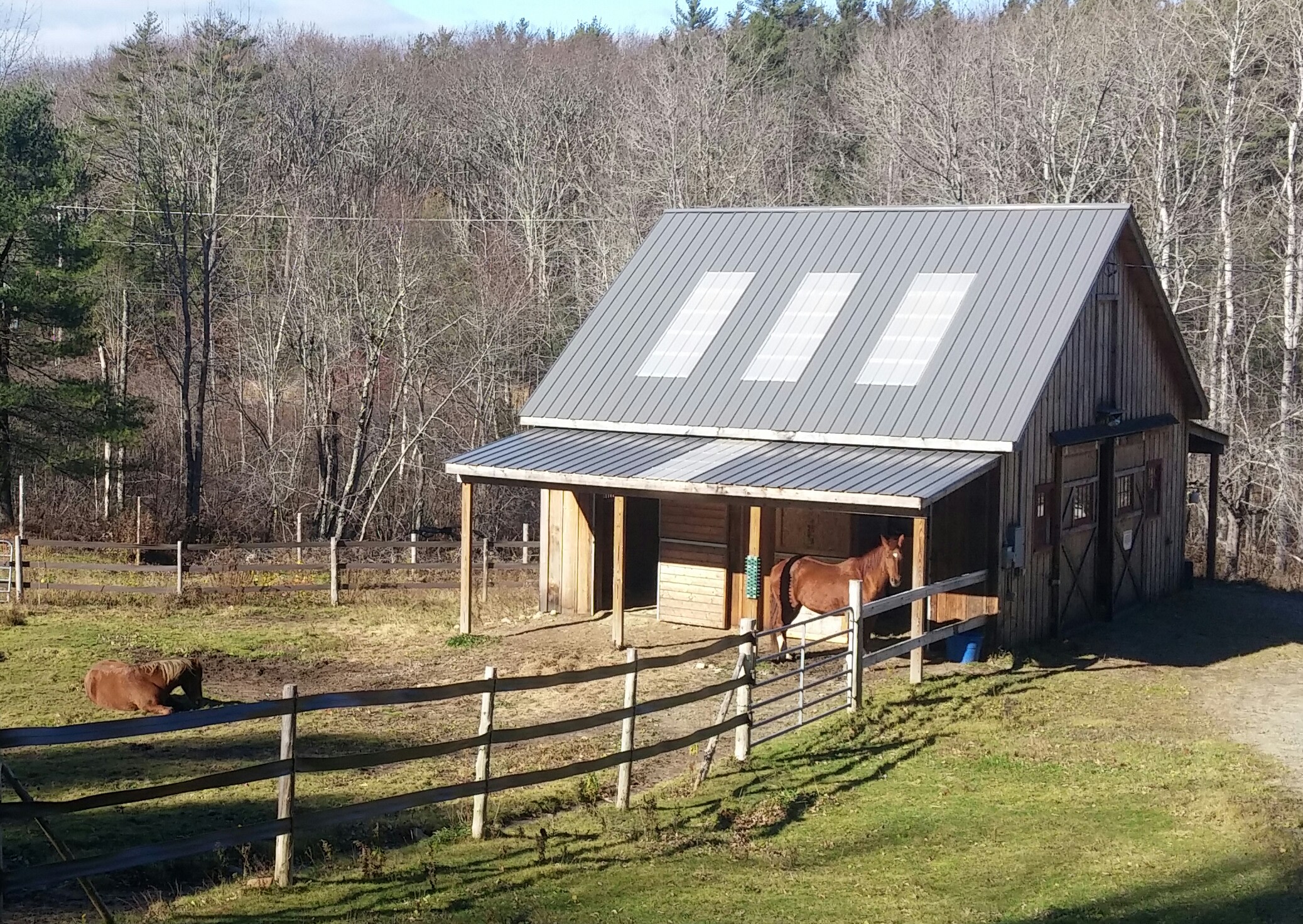 What could be better than having a horse right outside your window??