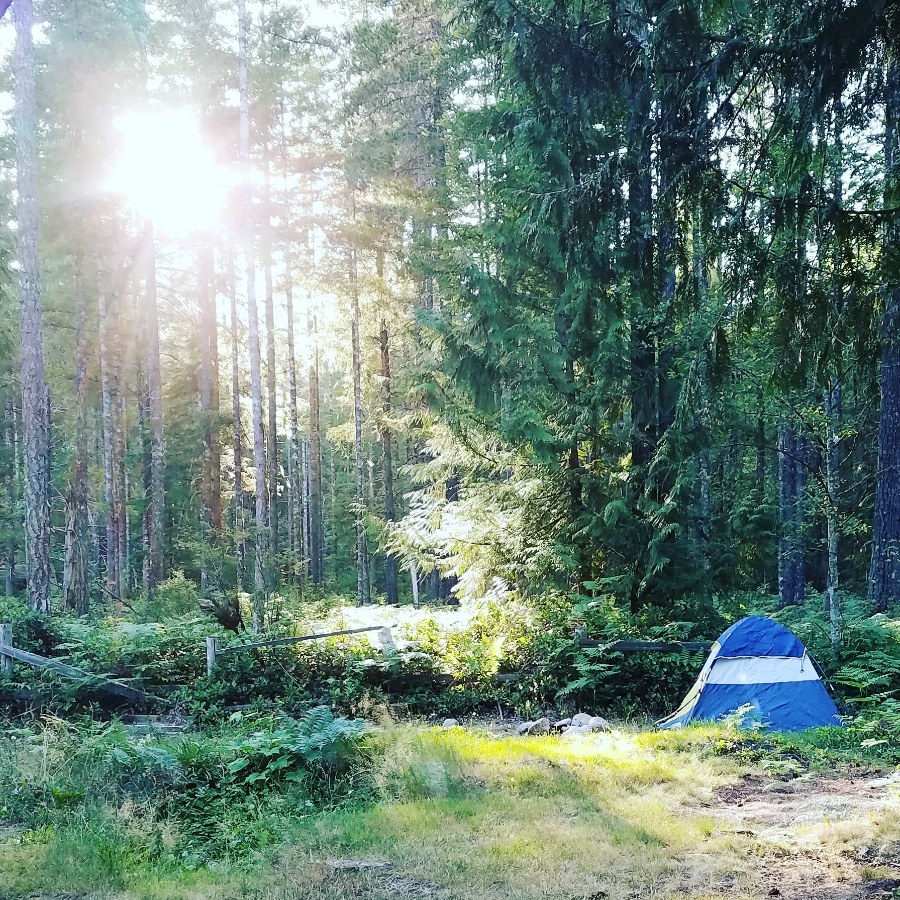 Happy campers