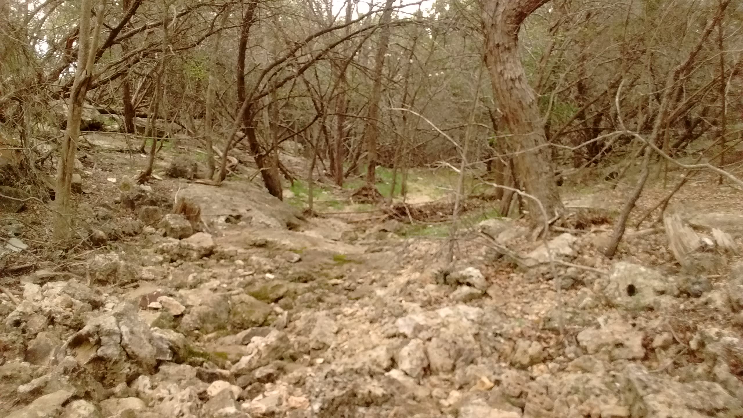 This is the Enchanted Ravine leading to Lake Belton.  Corps of Engineer property borders all of the lake from the waters edge to a few hundred feet in some places.  This allows quick access down the ravine to public access lake Corps of Engineer Lake Property.