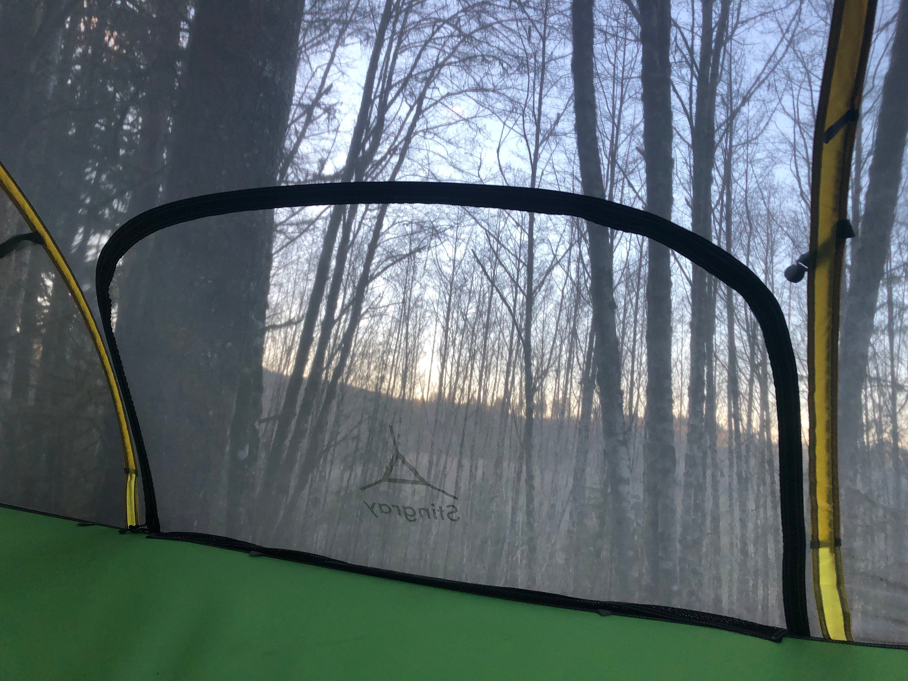 View from inside the tree tent.