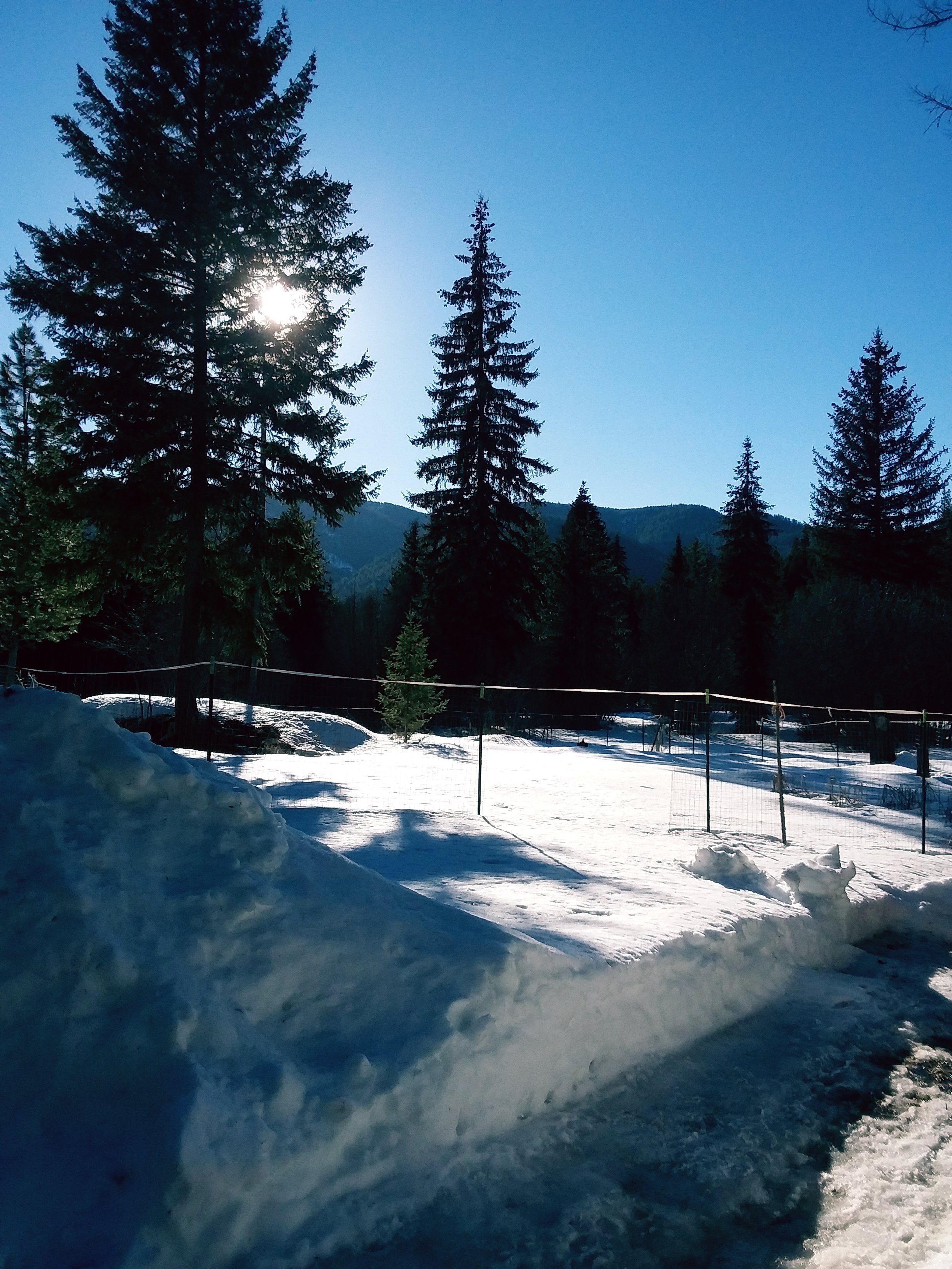Our garden at rest... come summer this will be full of potato plants!