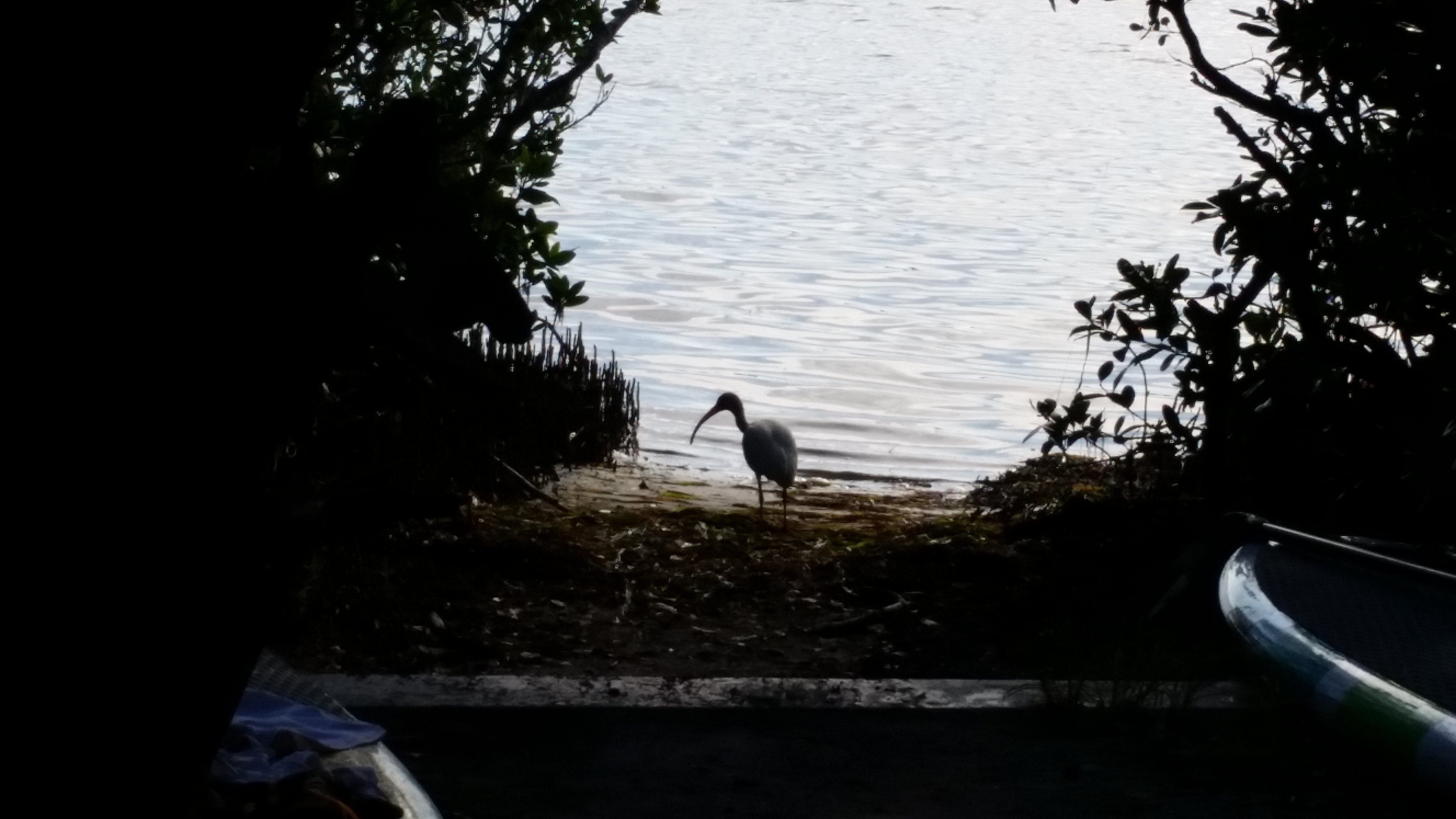 Camping right on the water 