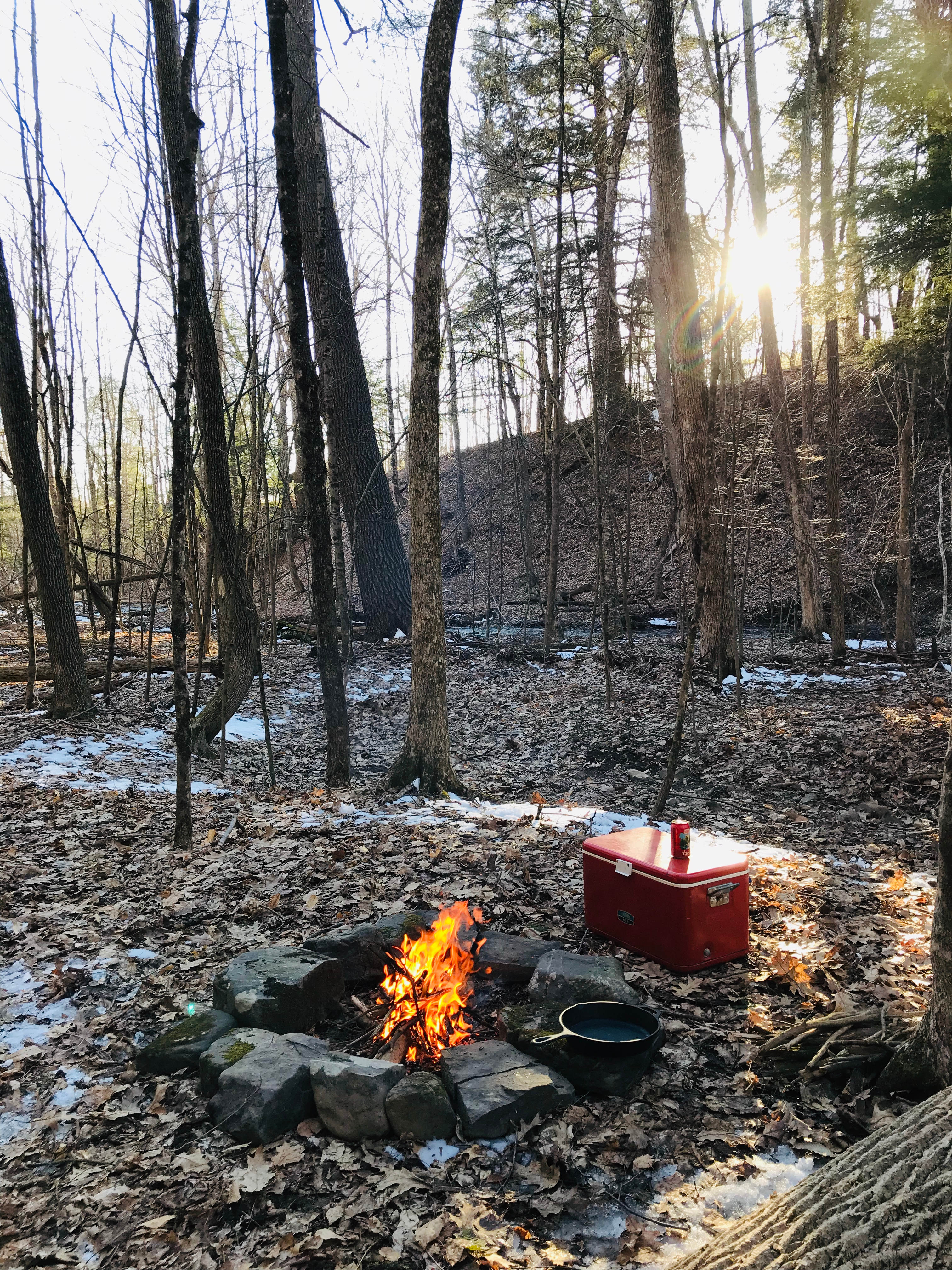 Spring afternoon