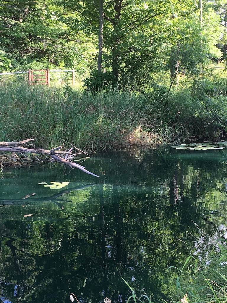 Channel between the two pond basins.  