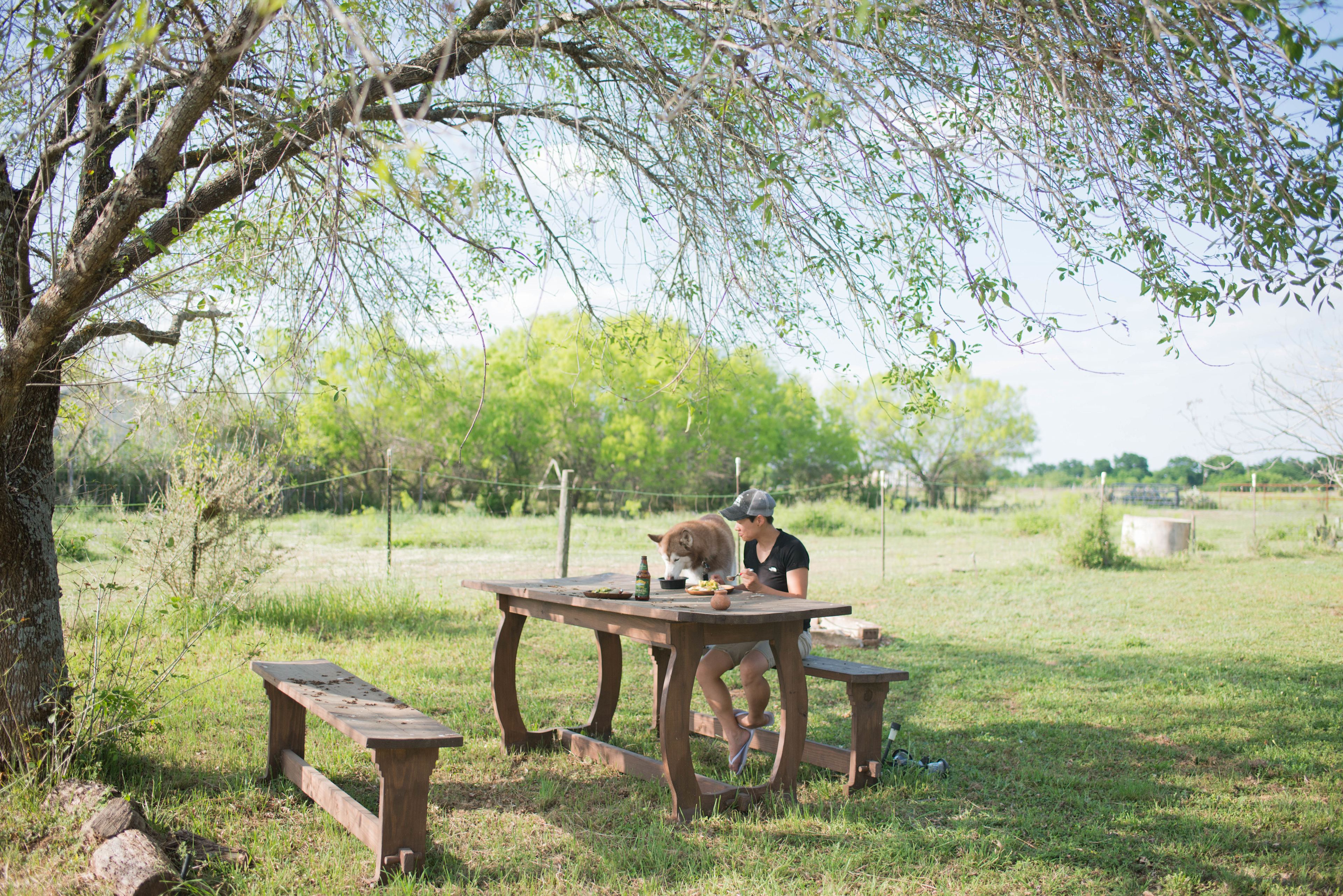 There is a beautiful replica of a hobbiton table (especially awesome for Lord of the Rings fans!) that we enjoyed having dinner on. Of course our four legged baby had to join us for dinner of her own