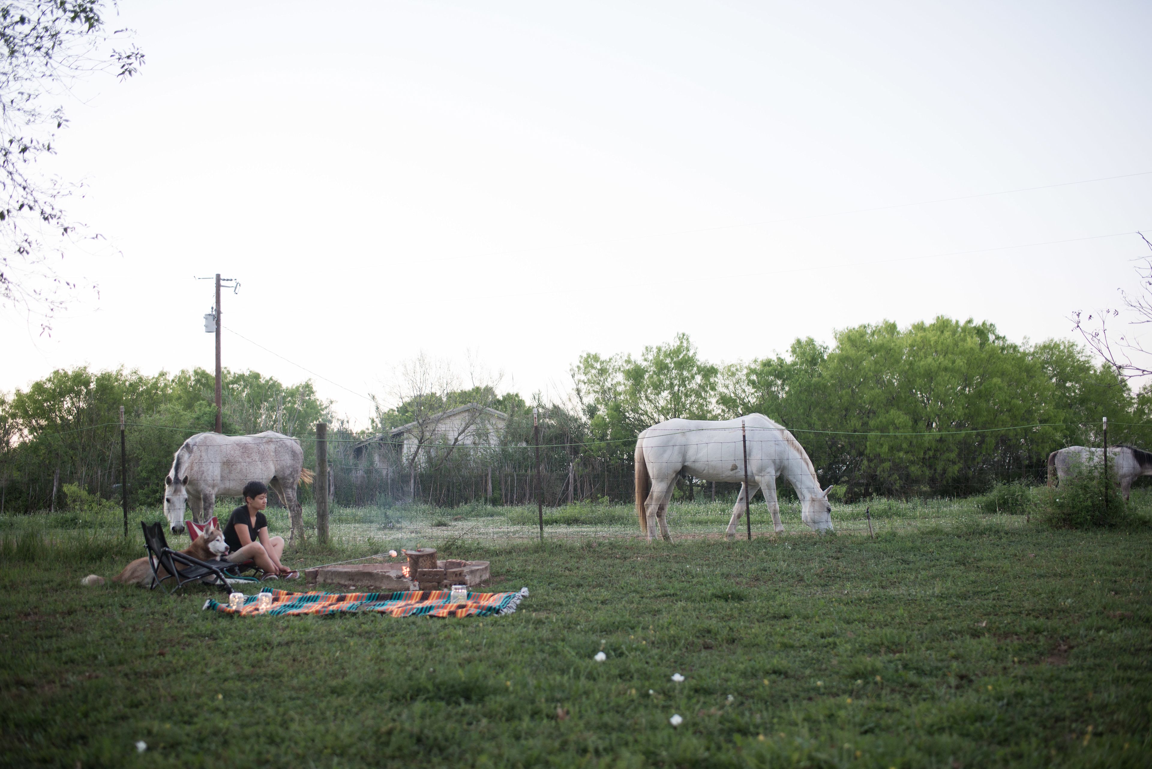 A perfect campfire with the company of horses. They were excited to meet our dog and happily put their noses down to check her out