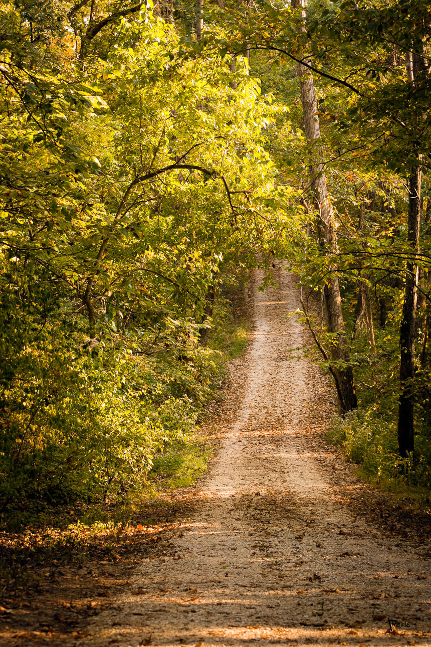 Hidden Ridge is located at the end of Shipp Lane.  Shipp Lane is great place for a stroll.  