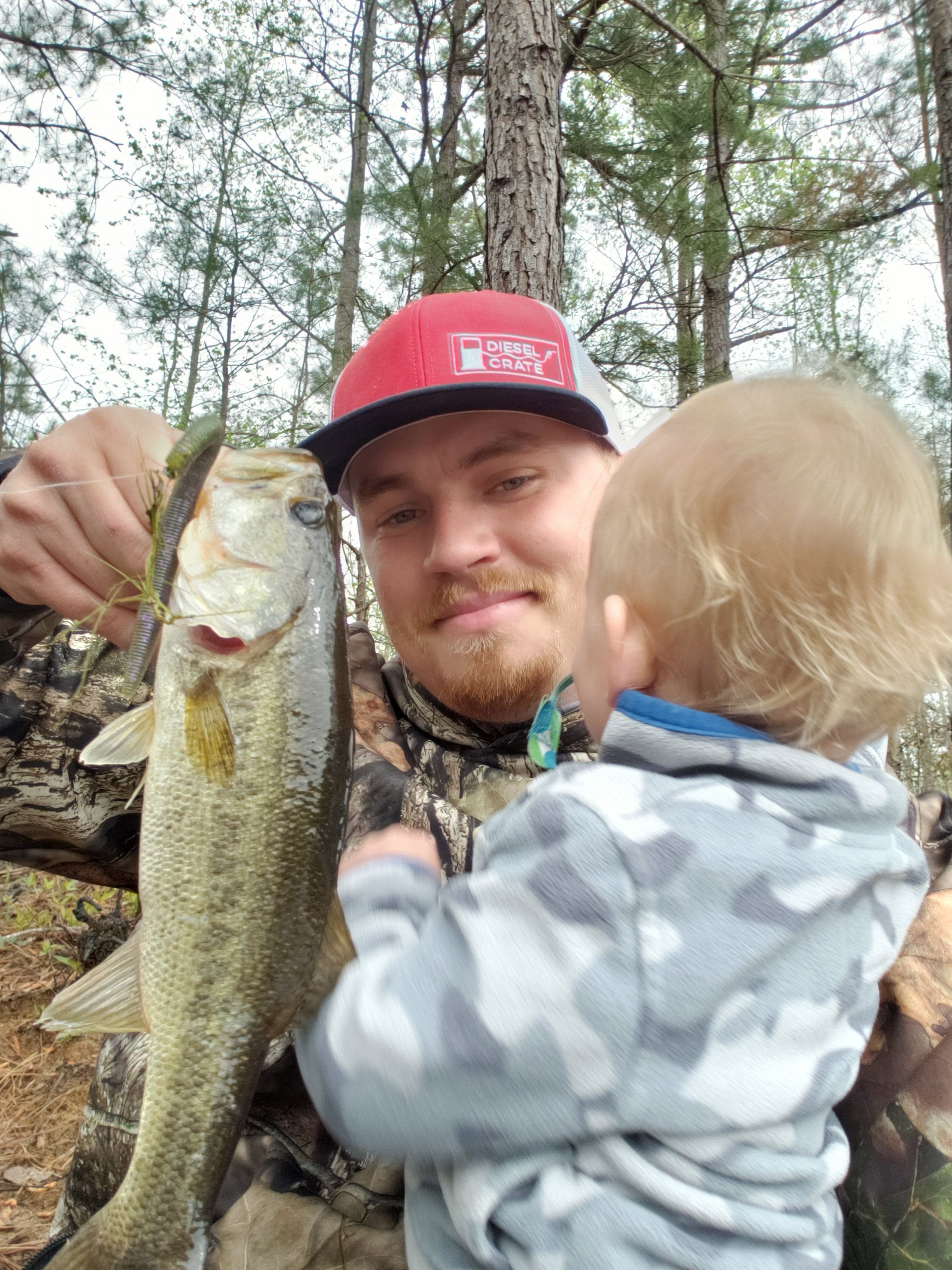 Murchison Farm's Primitive Camping