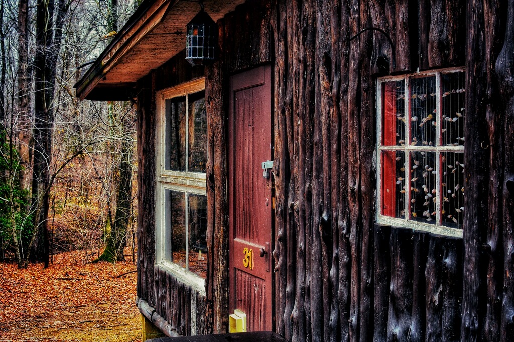 Rental Cabin