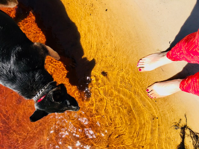 Stars Aligned River Retreat