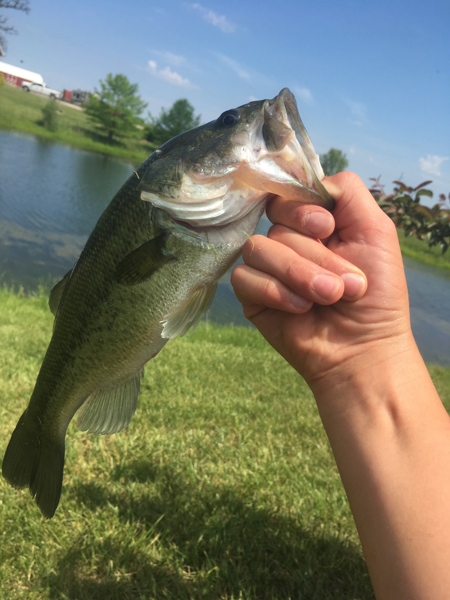 Great fishing in 2 lakes for, bass, bluegill, catfish and crappie