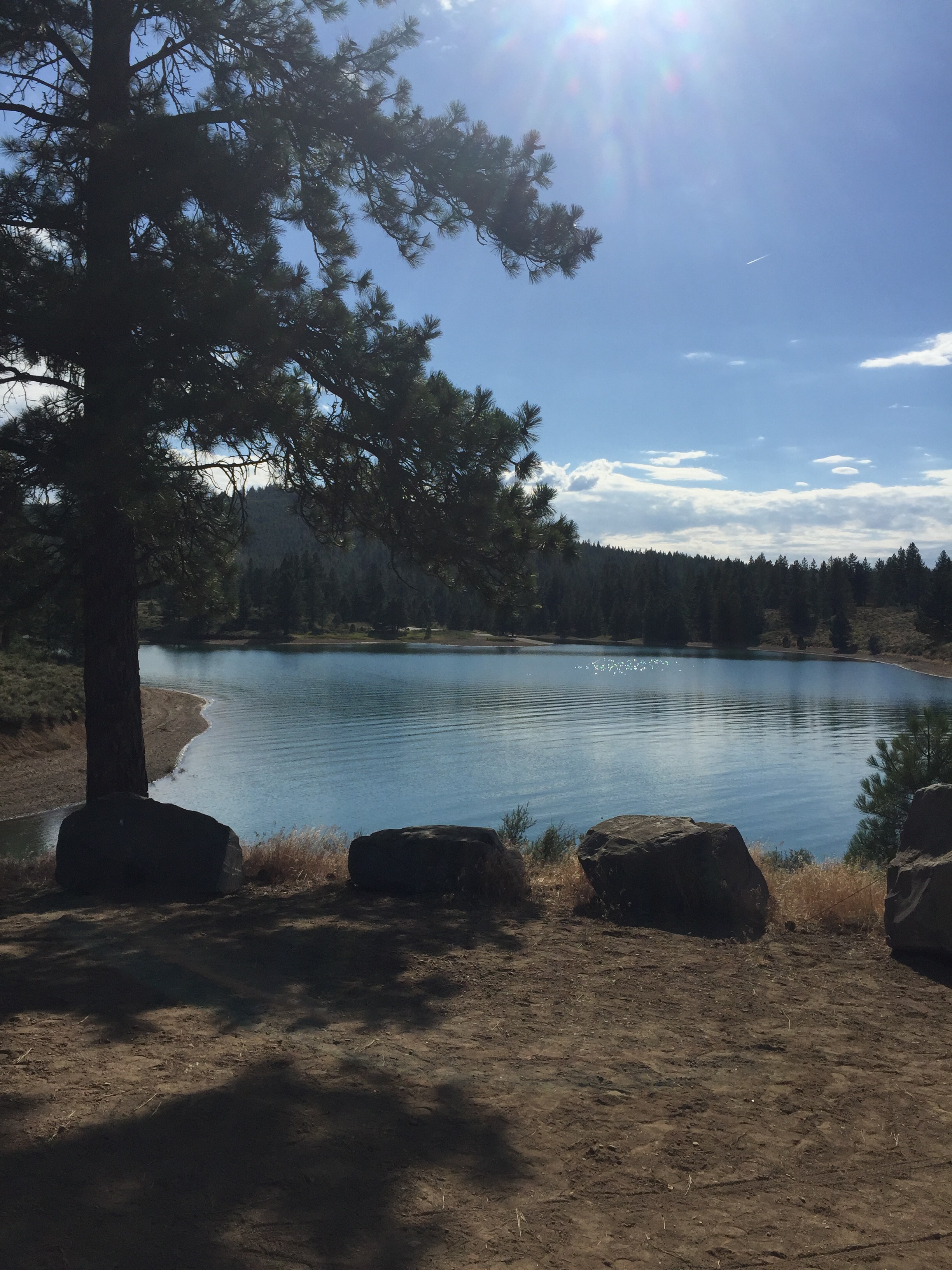 Stunning and beautiful!