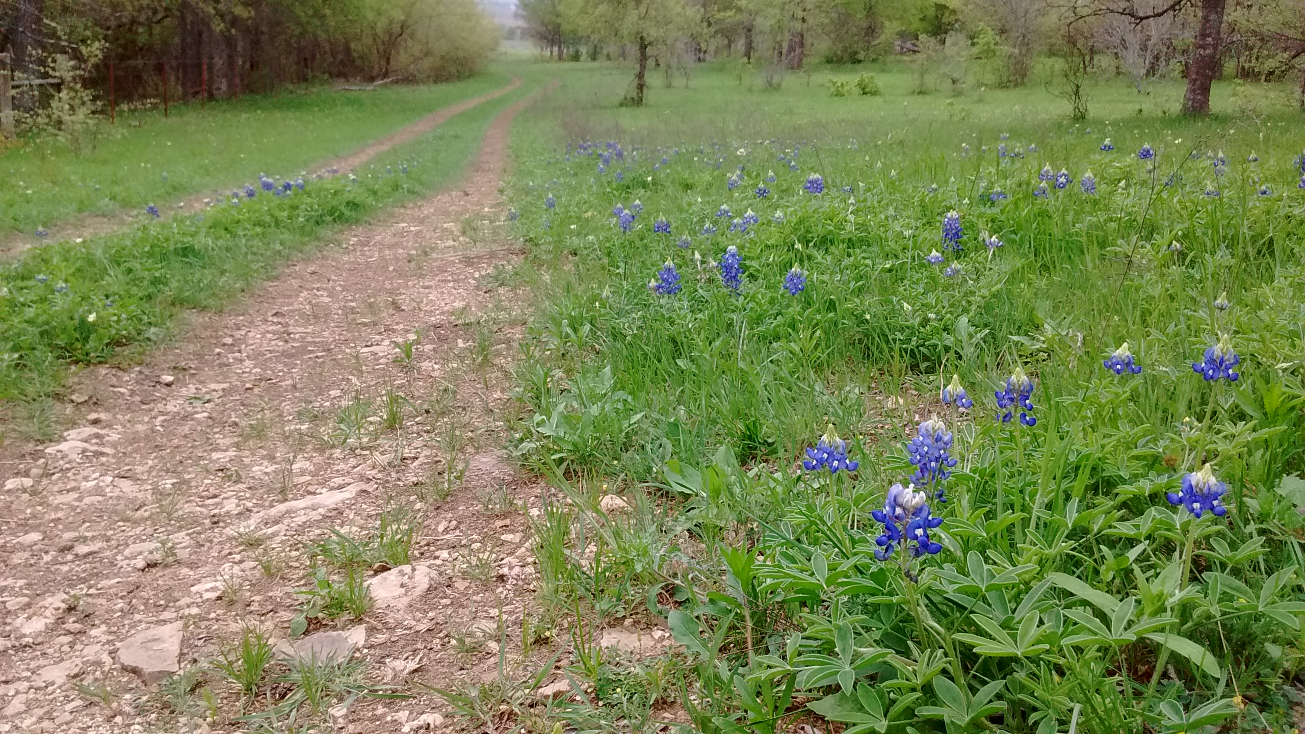 36 ACRE R.V. ESCAPE