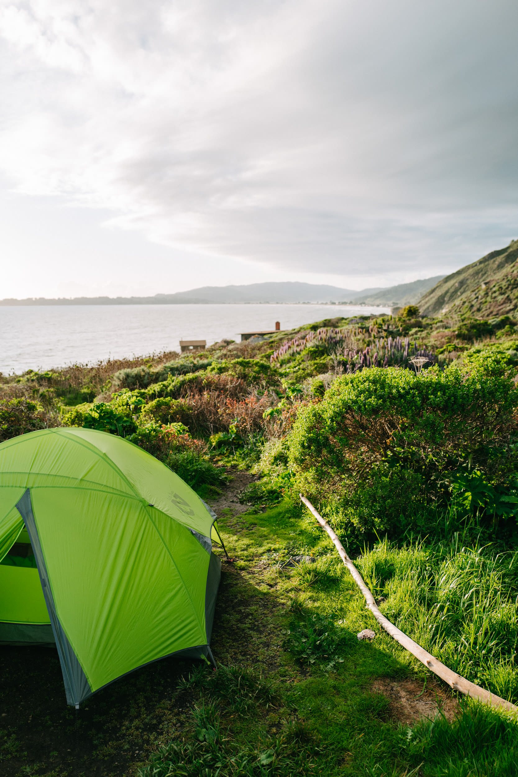 Looking North from site #6.