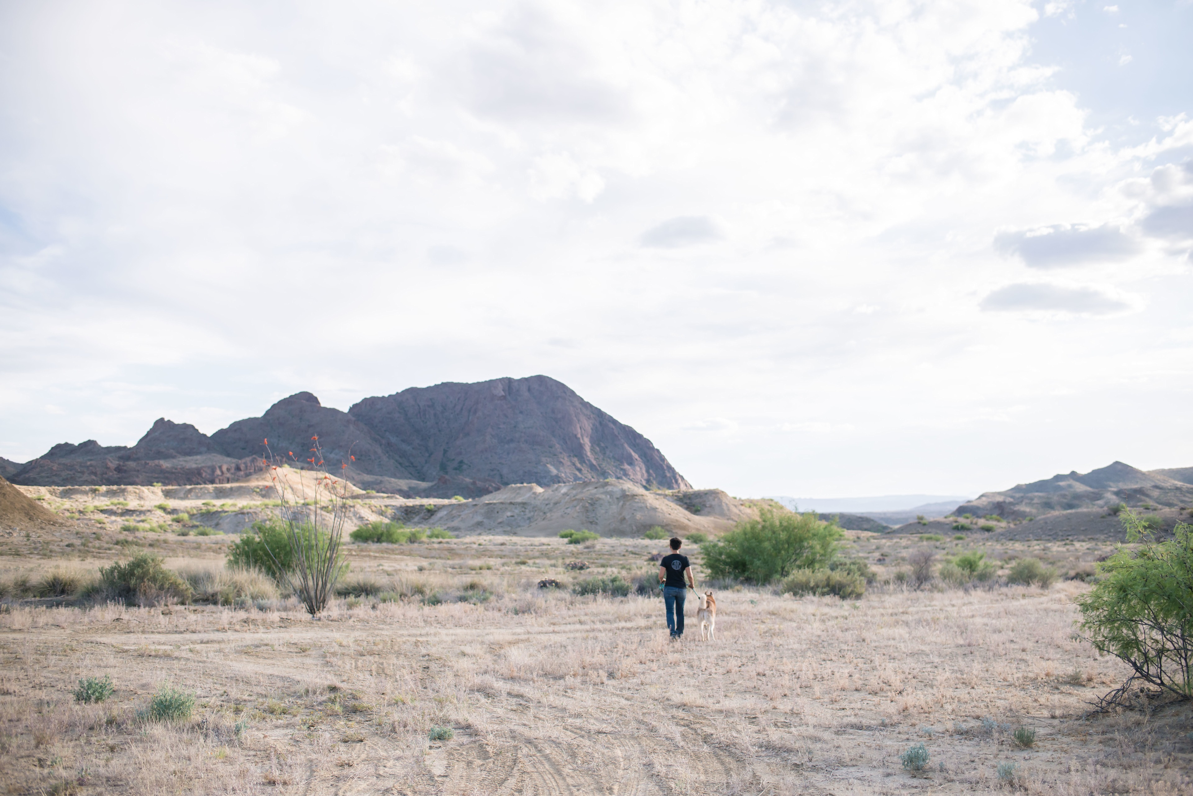 The land is perfect for hiking
