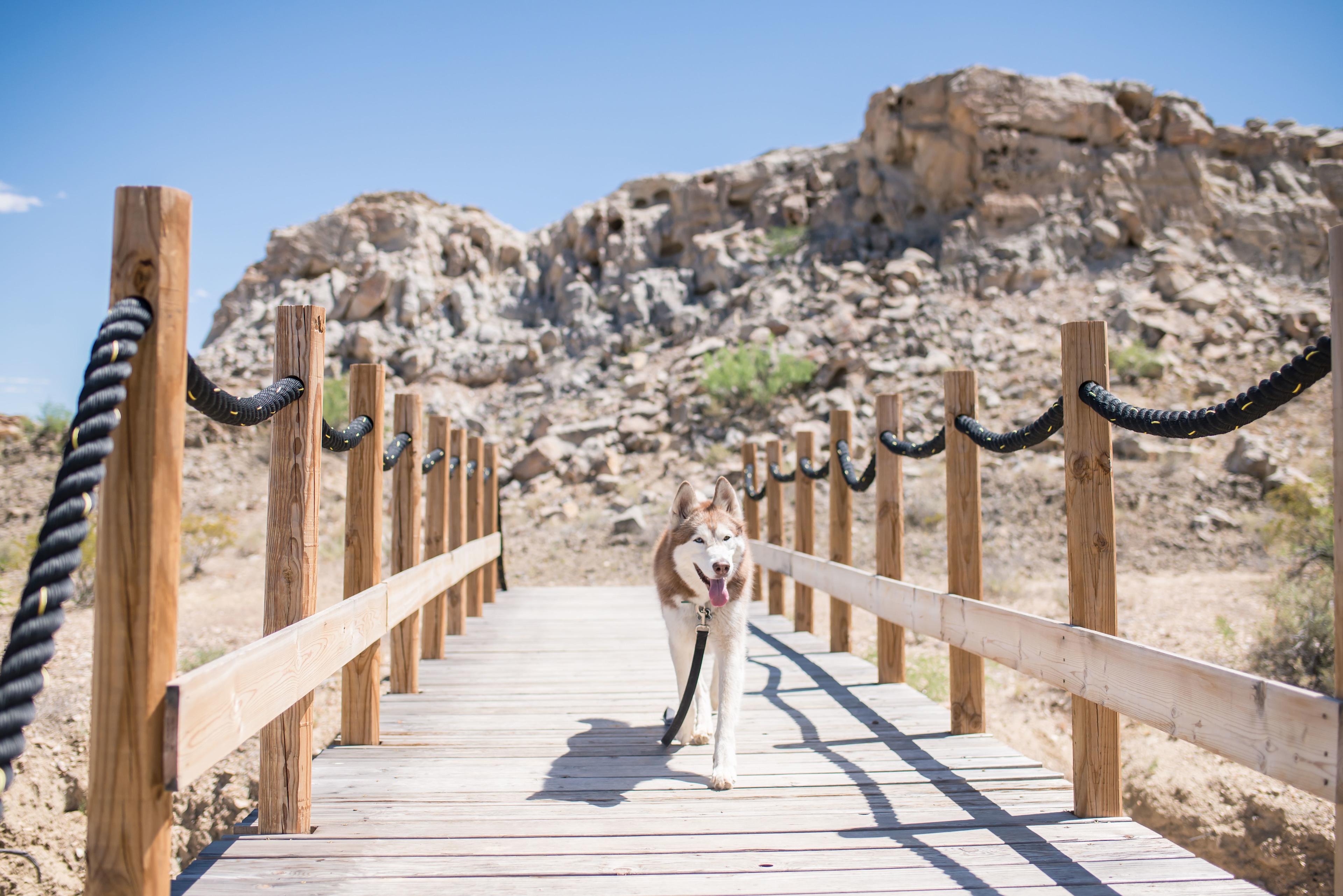 There is a nice bridge connecting the property and campsites and we hiked it to the nearby rock formations