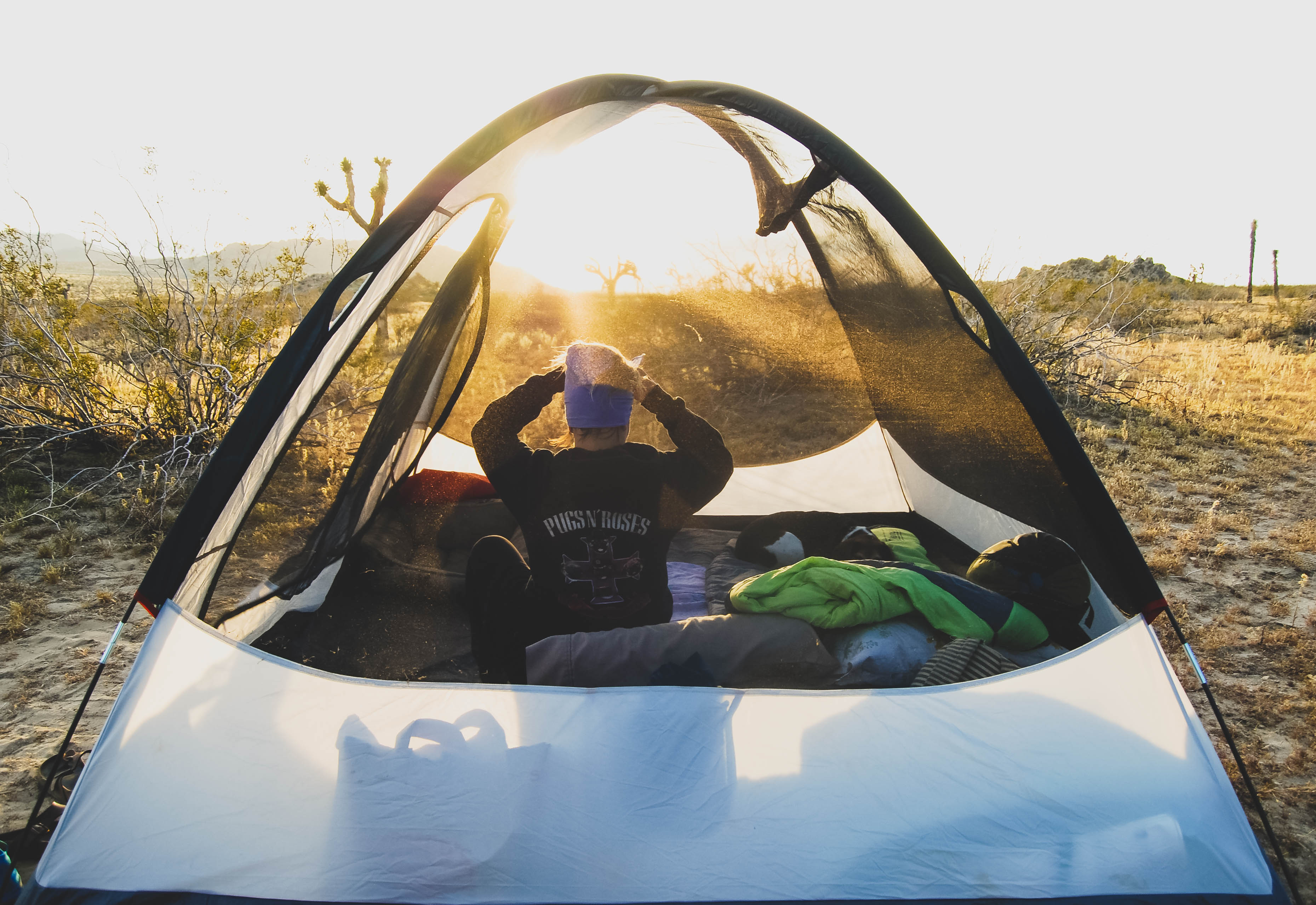 Golden State of Mind