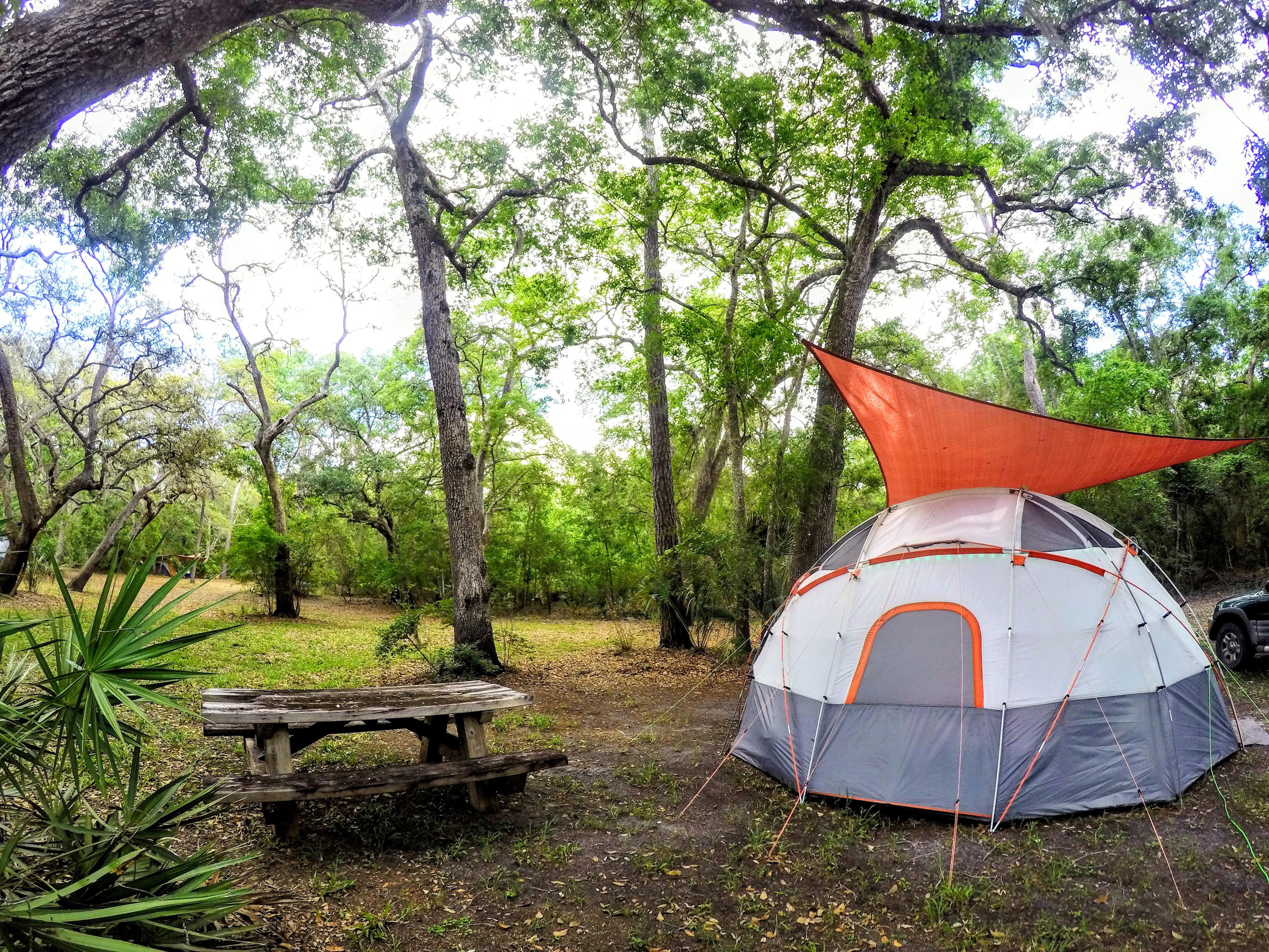 Suwannee River Cove Campground