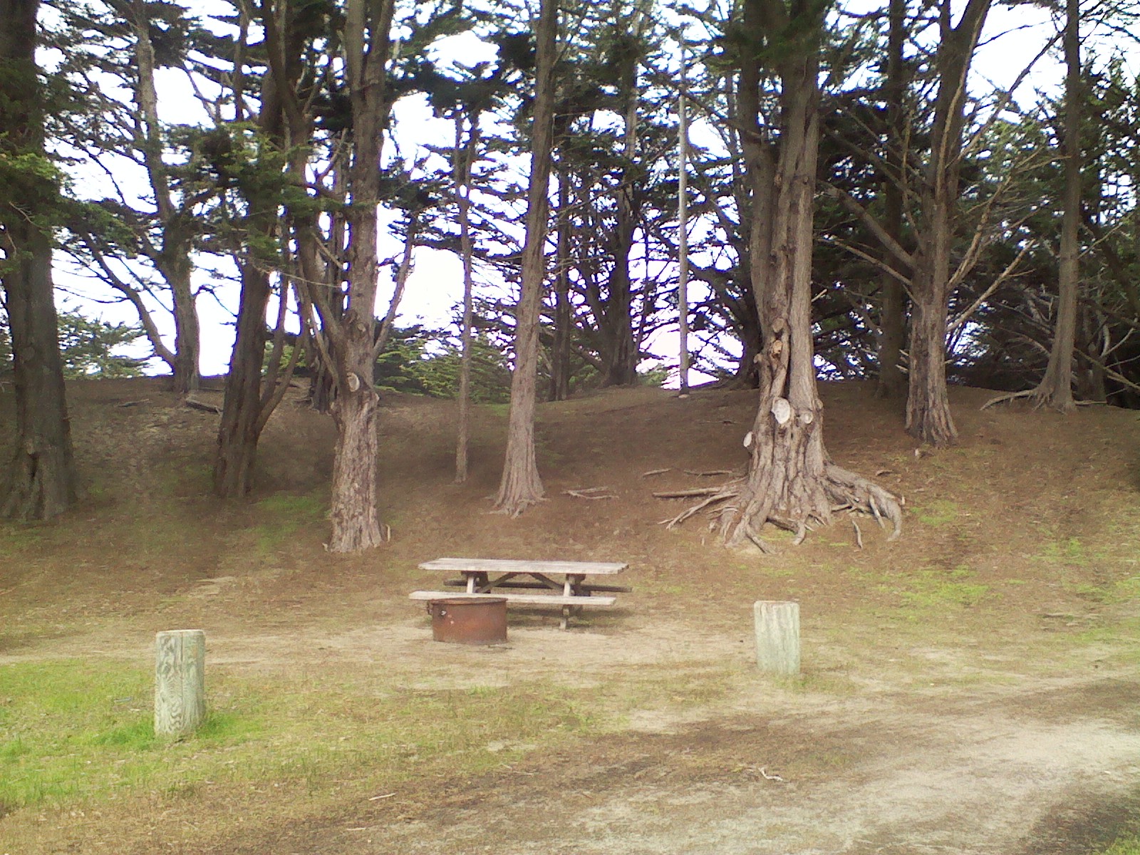Sonoma Coast State Park