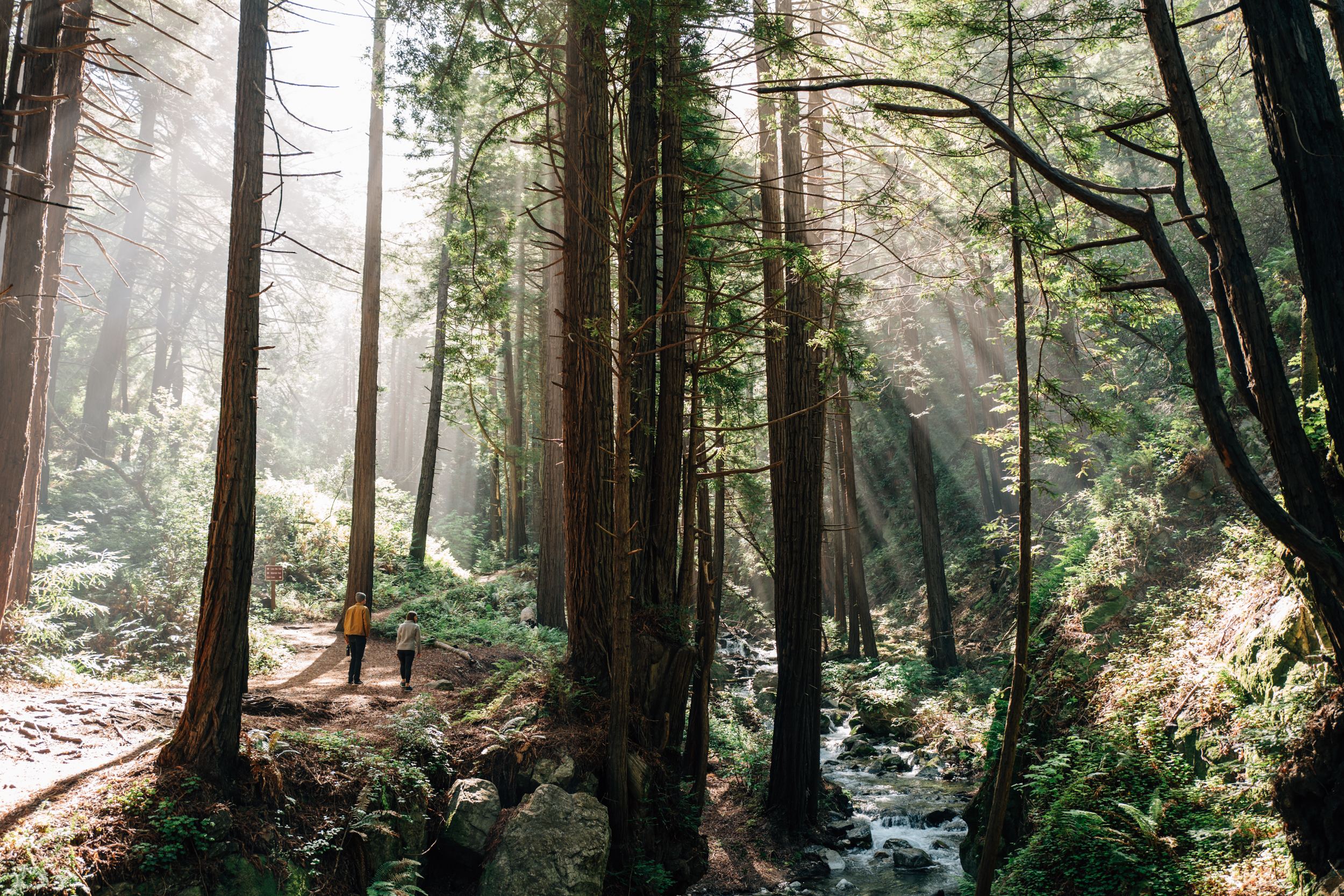 Strolling along Limekiln Creek.