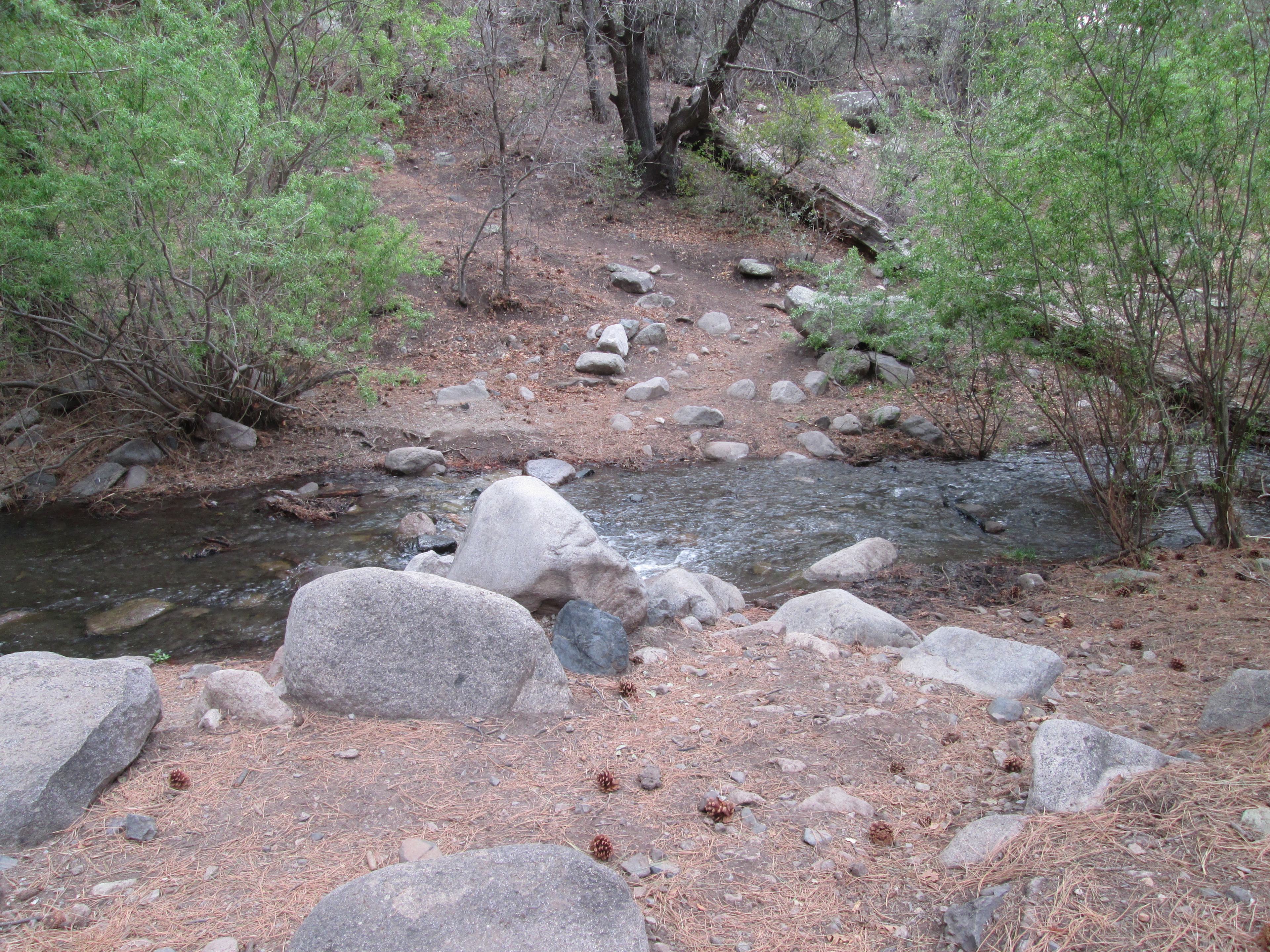 one of several easy stream crossings.  The main trail parallels the water well into the wilderness.   