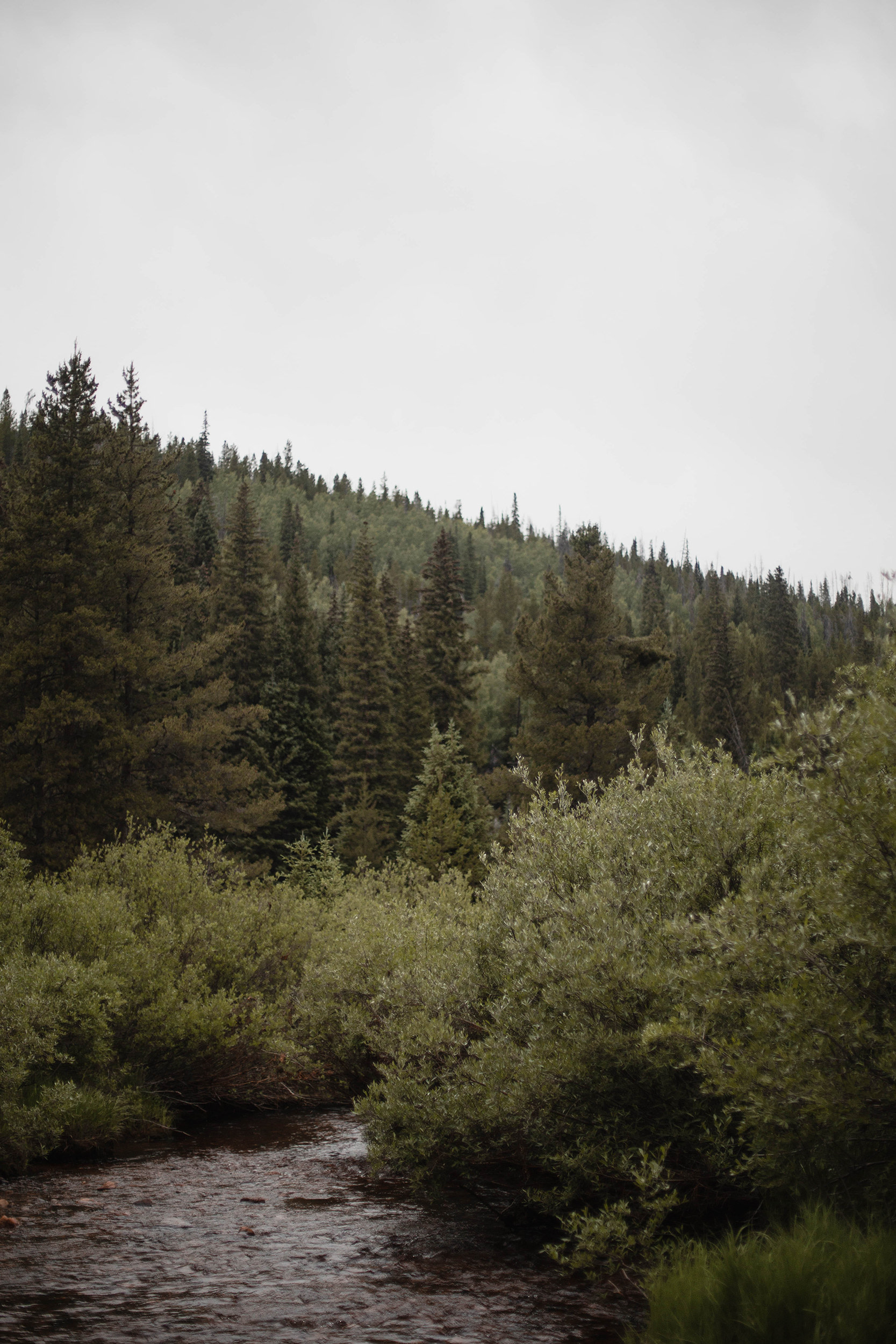 Arapaho National Forest