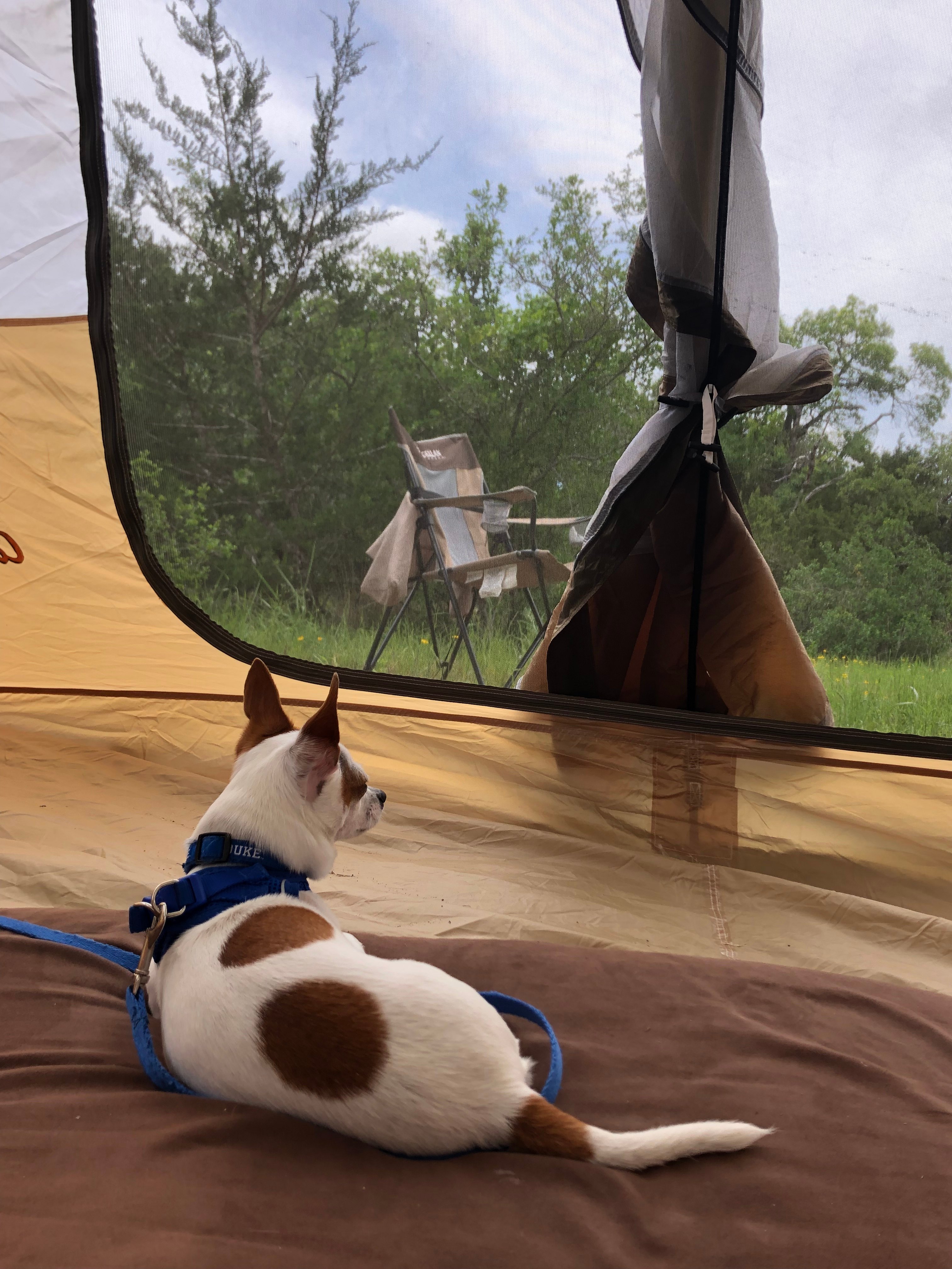 Relaxing enjoying the view!