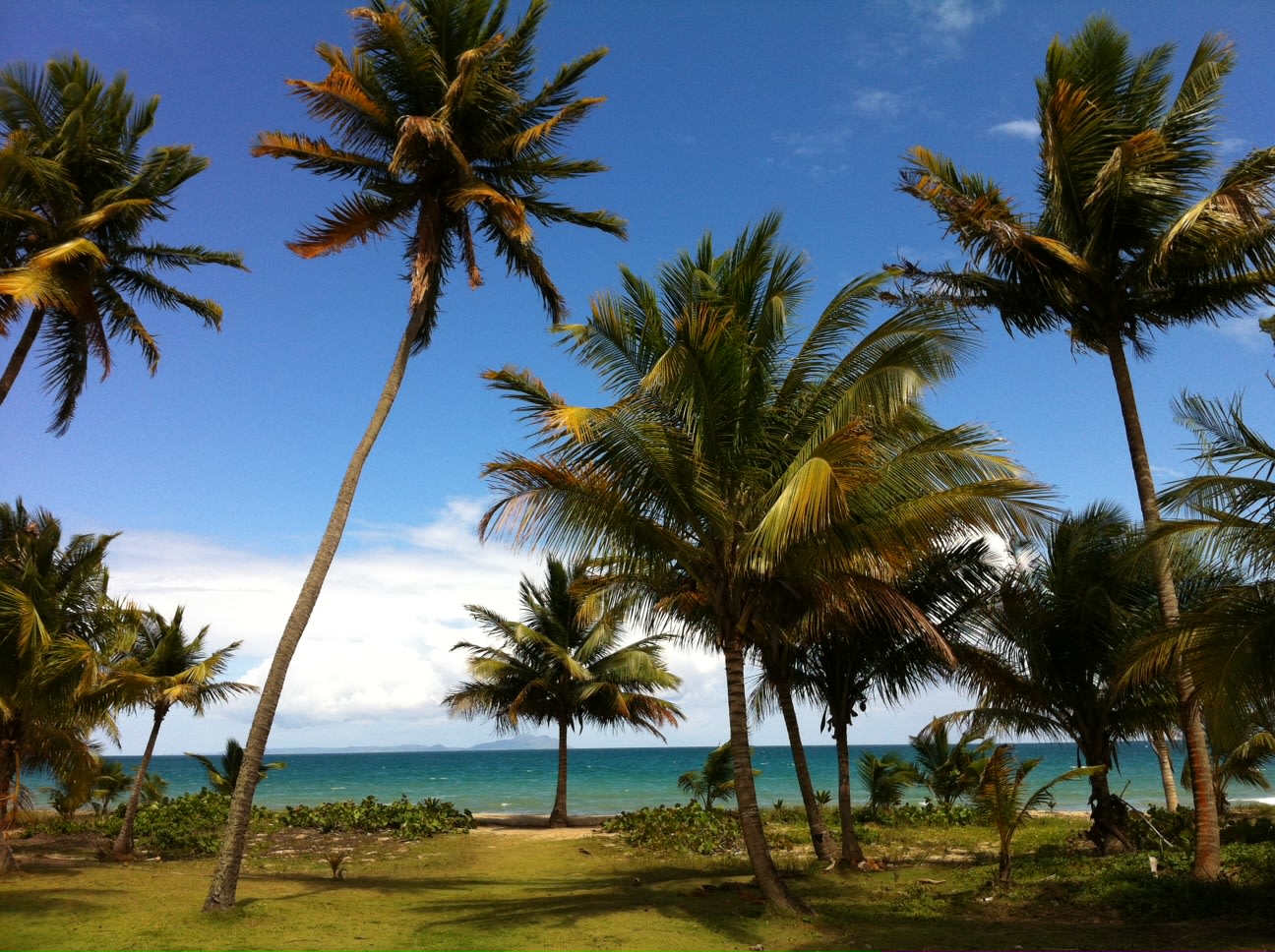 Barefoot Travelers Rooms Guesthouse