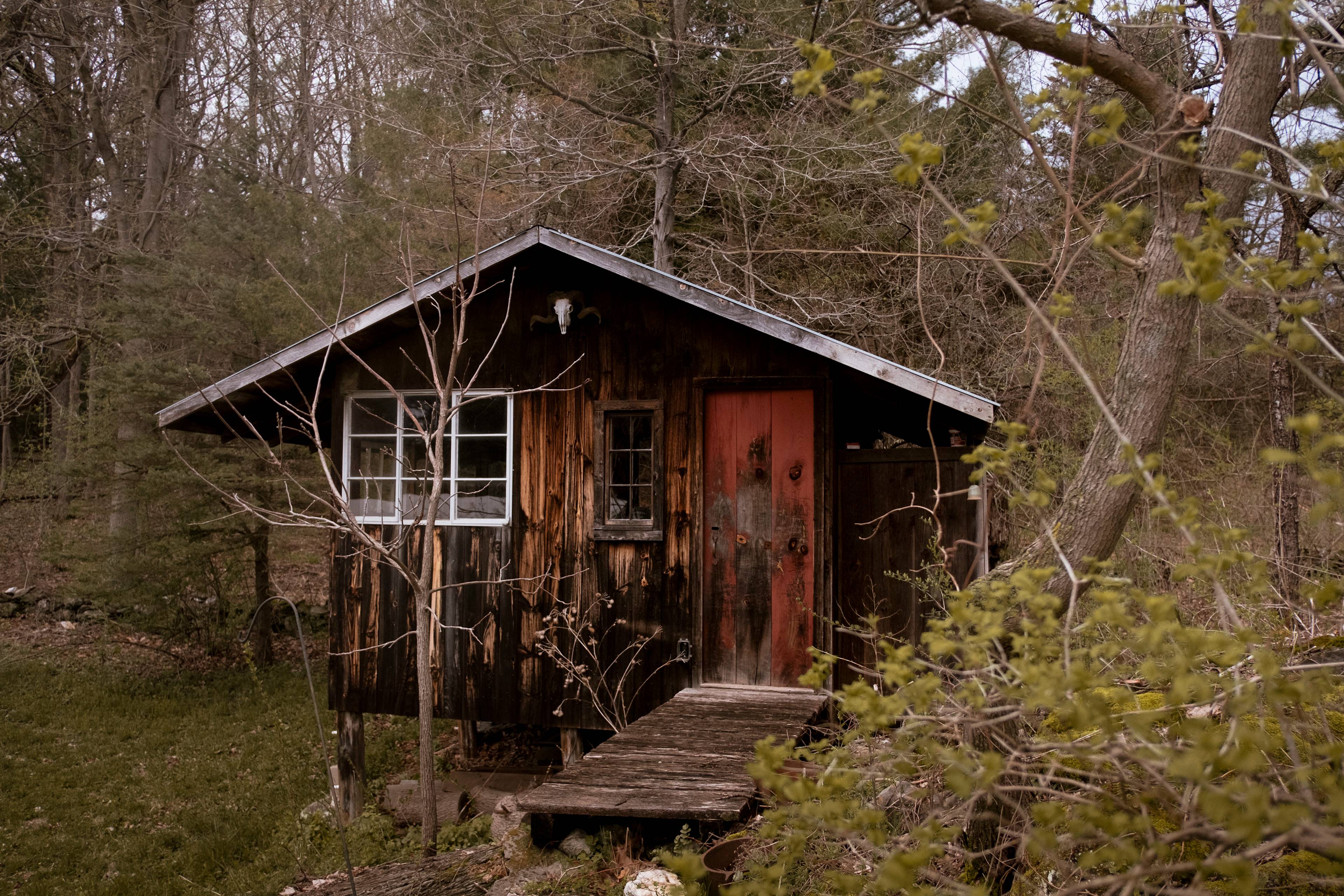 Moon In The Pond Farm