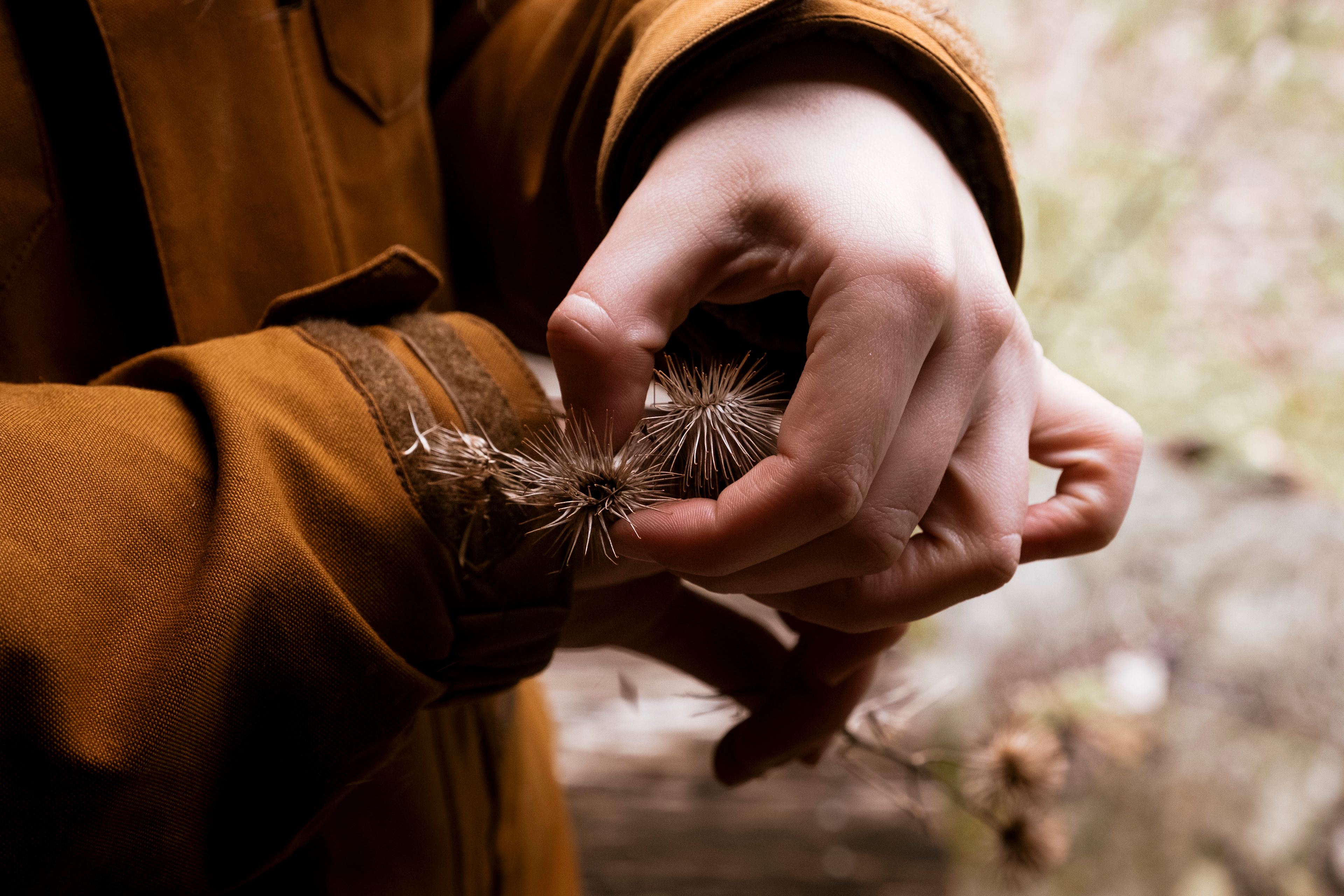 Moon In The Pond Farm