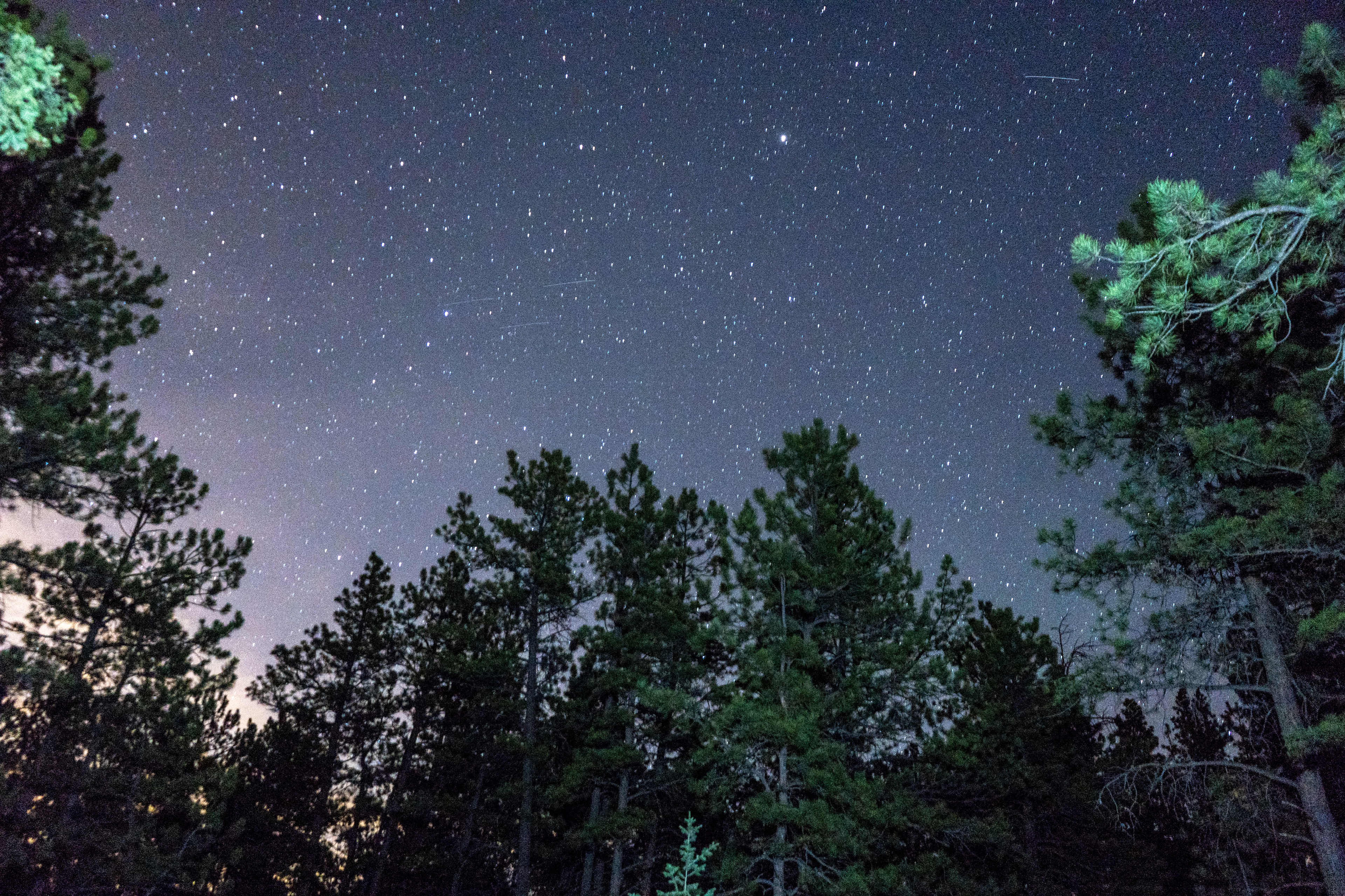 This was the view about 20 feet from the Cabin of the night sky