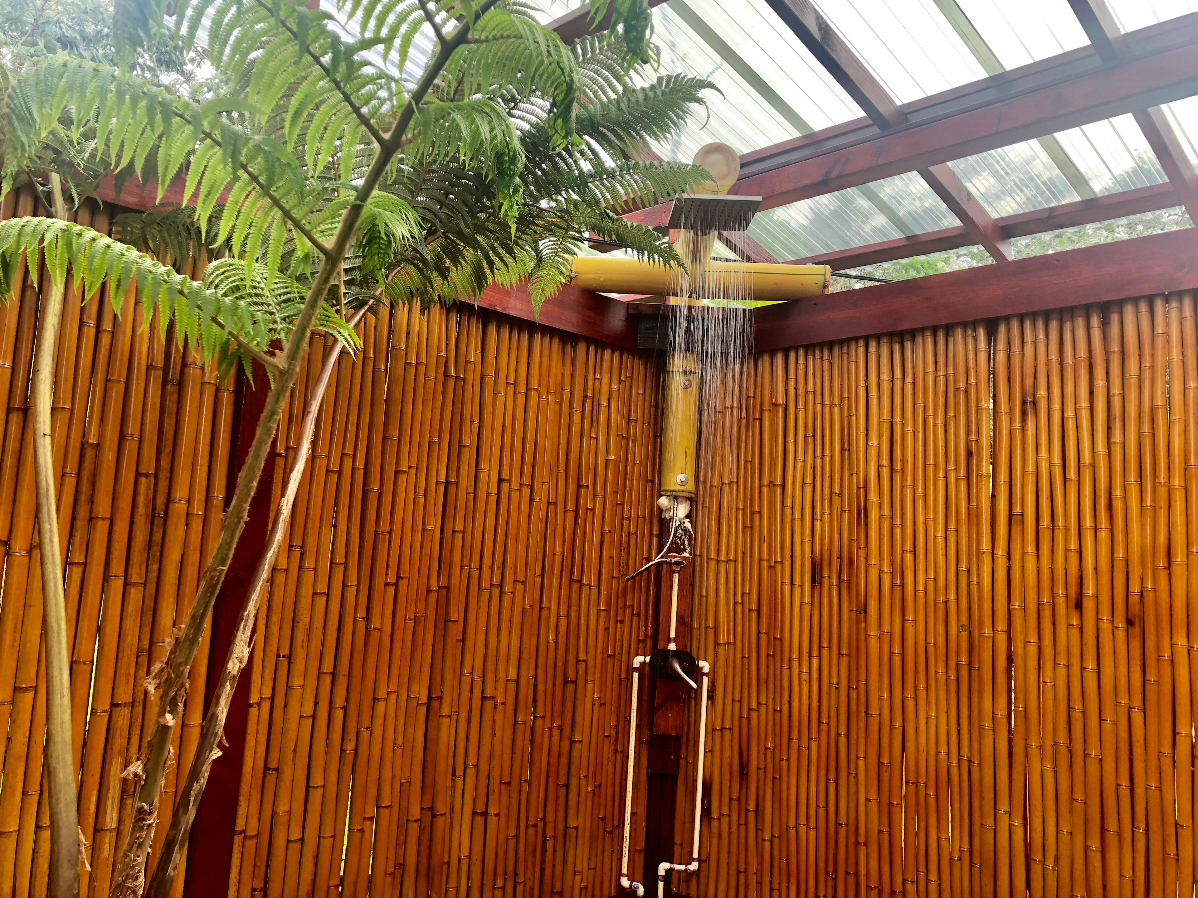 BAMBOO GLAMP