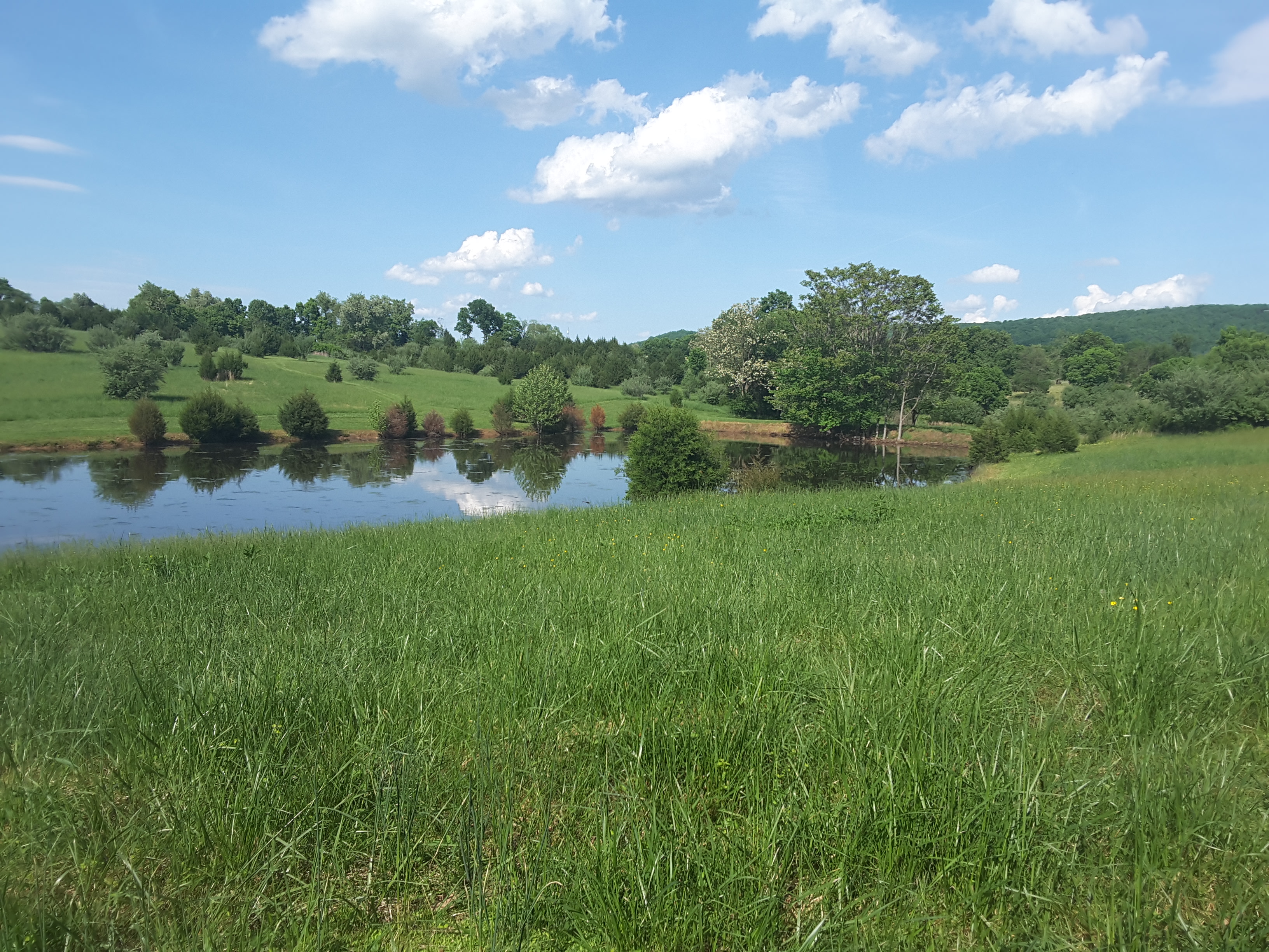 River Farm